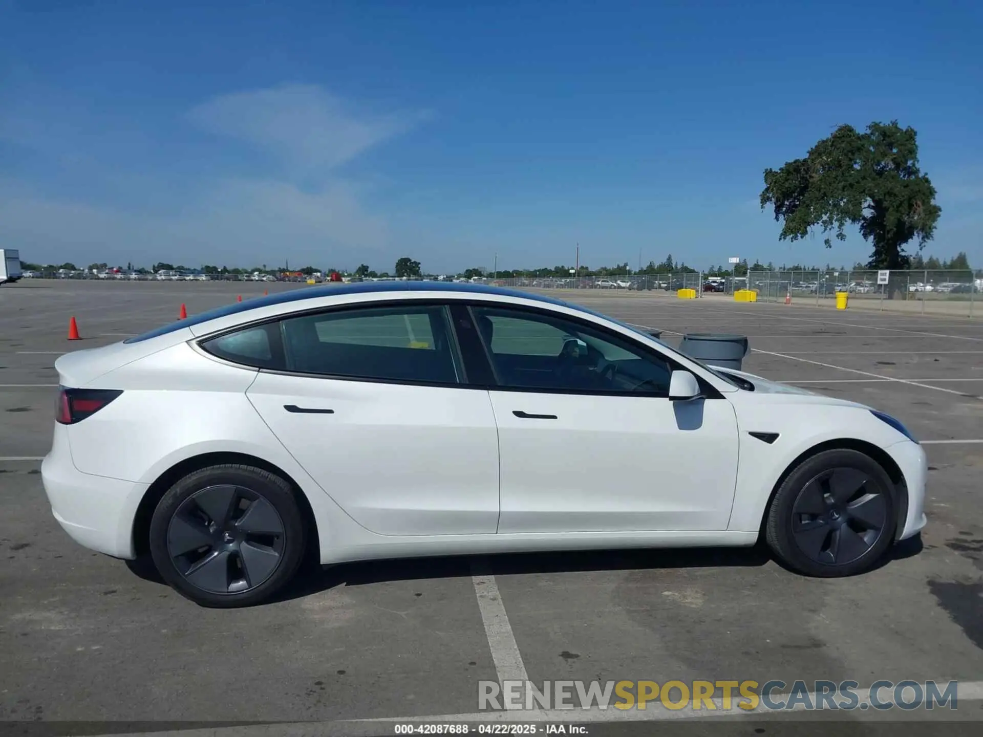 13 Photograph of a damaged car 5YJ3E1EAXPF506310 TESLA MODEL 3 2023