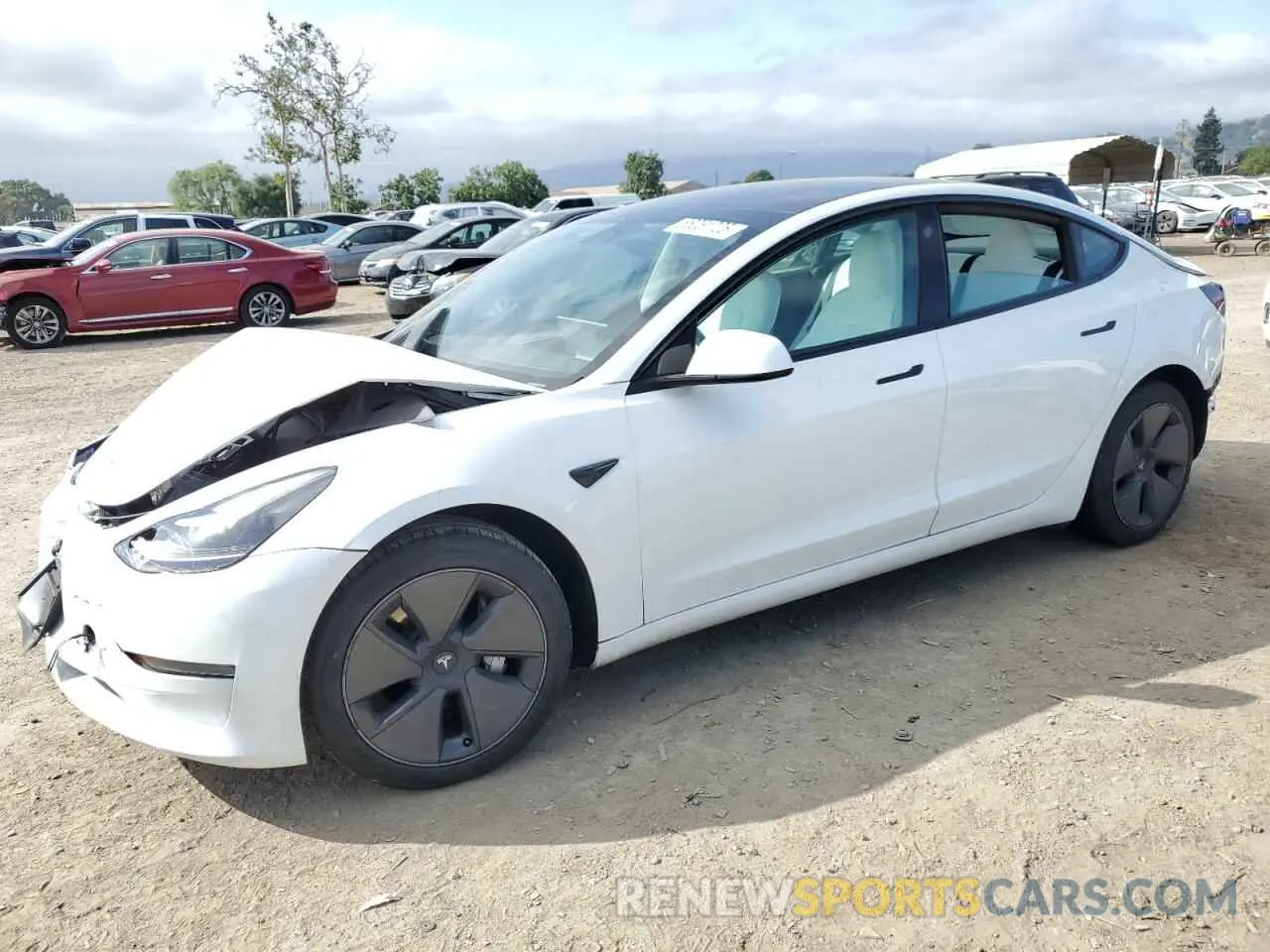 1 Фотография поврежденного автомобиля 5YJ3E1EAXPF540974 TESLA MODEL 3 2023