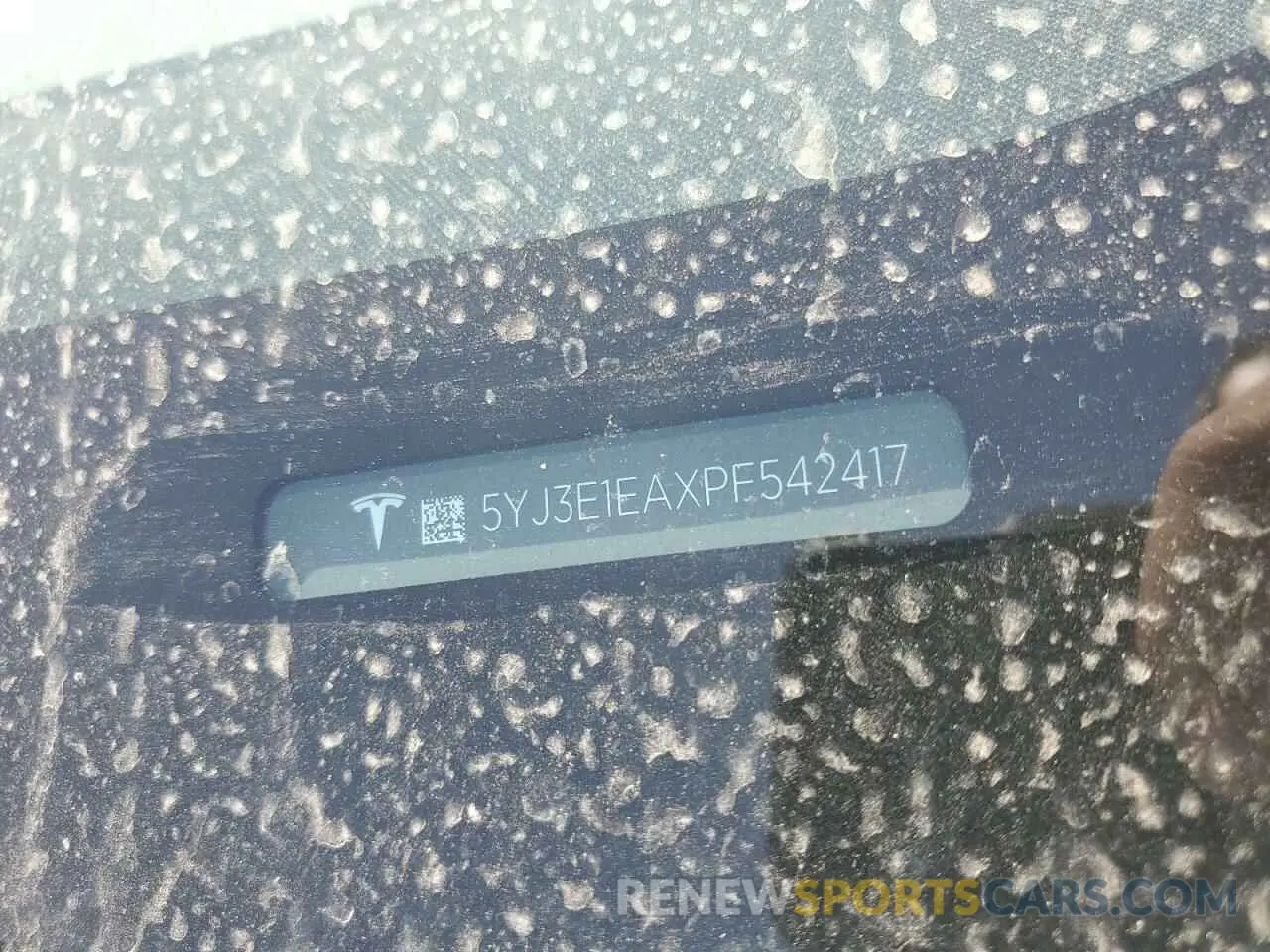 12 Photograph of a damaged car 5YJ3E1EAXPF542417 TESLA MODEL 3 2023