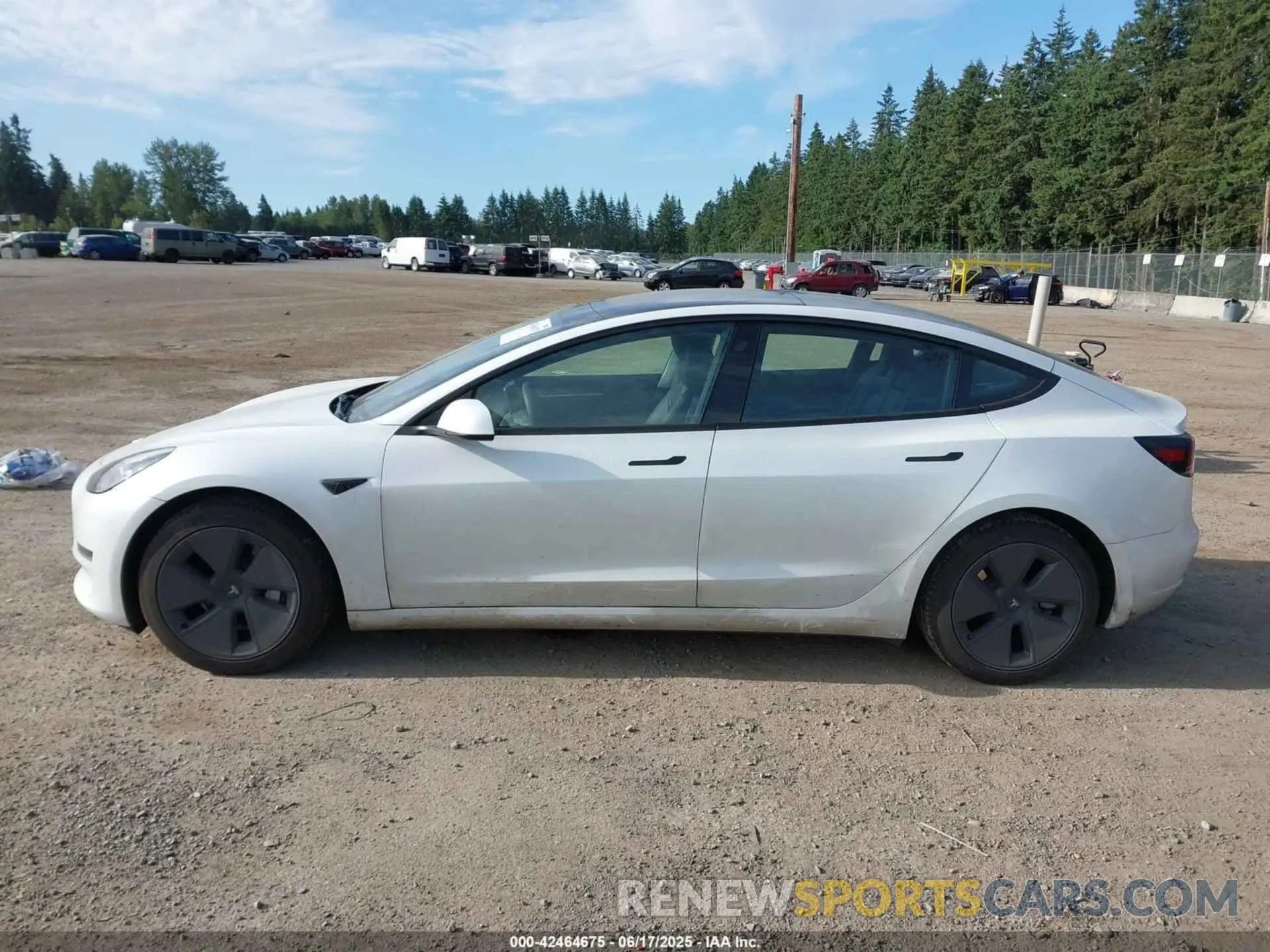 14 Фотография поврежденного автомобиля 5YJ3E1EAXPF609792 TESLA MODEL 3 2023
