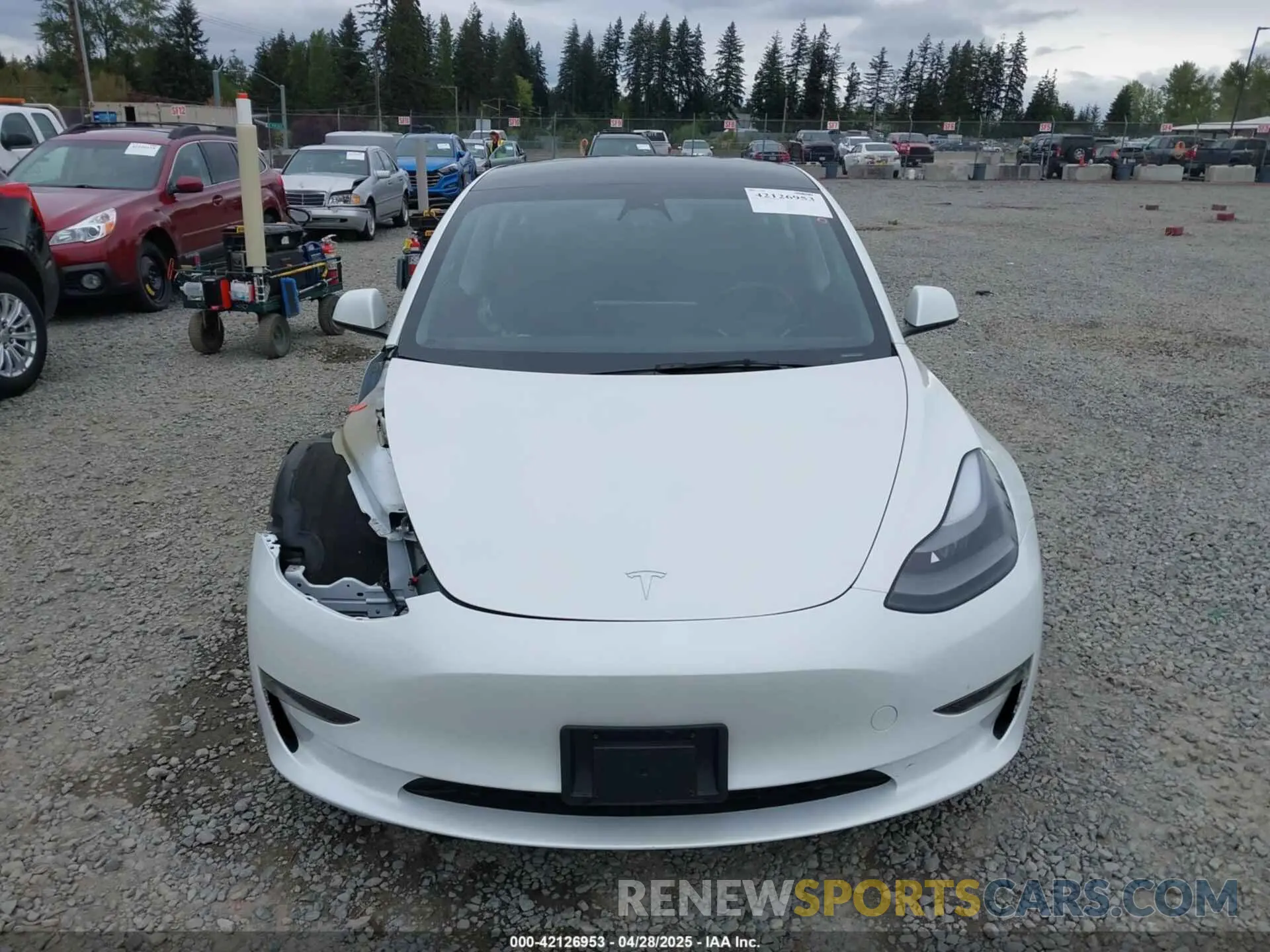 13 Фотография поврежденного автомобиля 5YJ3E1EAXPF611882 TESLA MODEL 3 2023