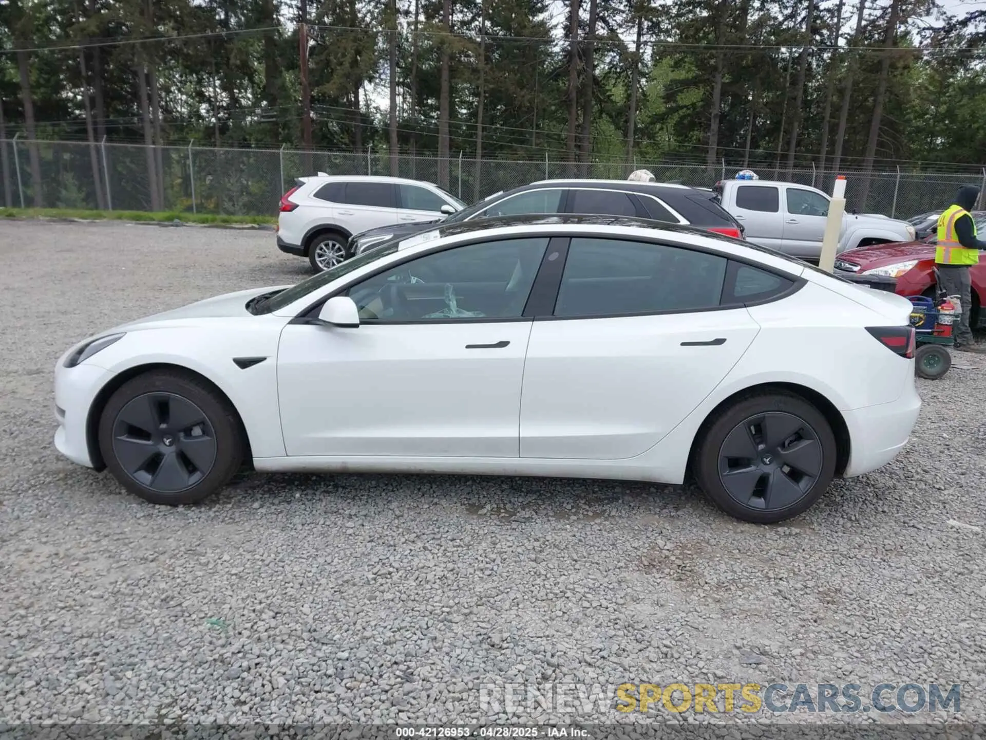 15 Фотография поврежденного автомобиля 5YJ3E1EAXPF611882 TESLA MODEL 3 2023