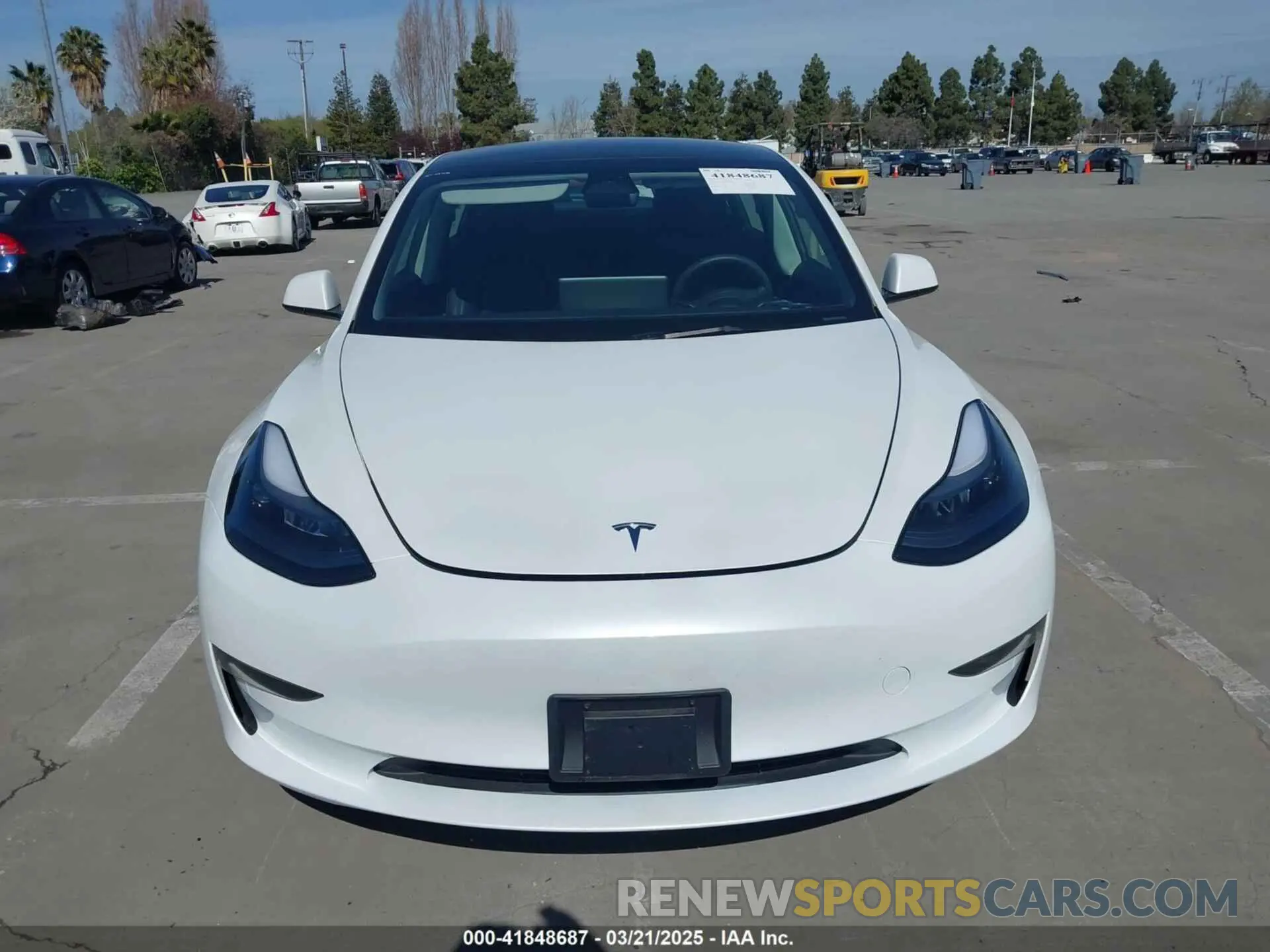 12 Photograph of a damaged car 5YJ3E1EAXPF646809 TESLA MODEL 3 2023