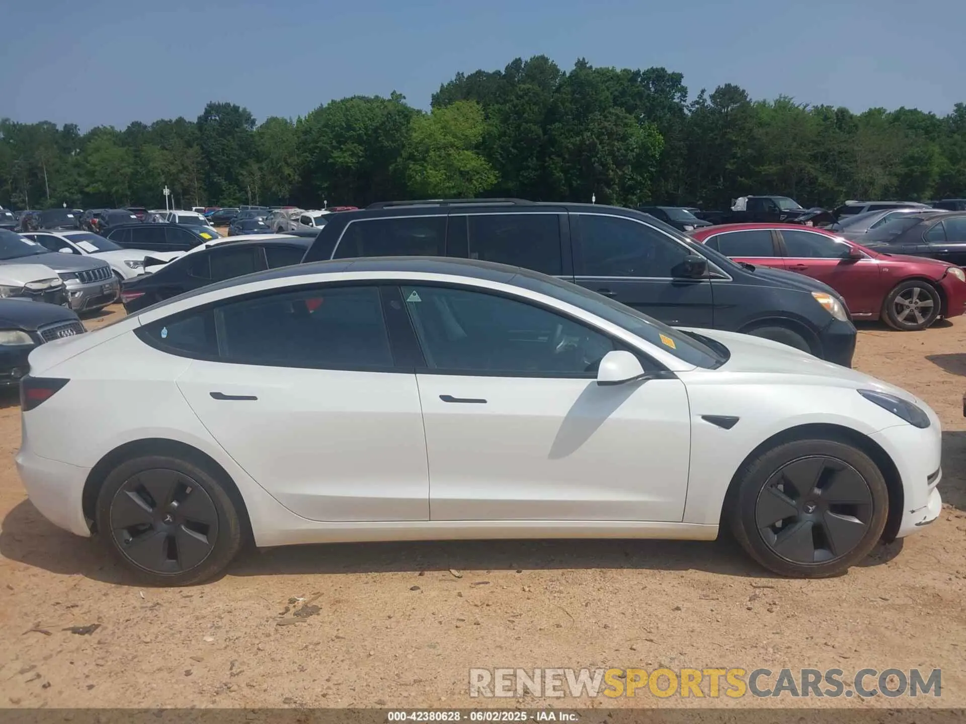 13 Фотография поврежденного автомобиля 5YJ3E1EAXPF686095 TESLA MODEL 3 2023