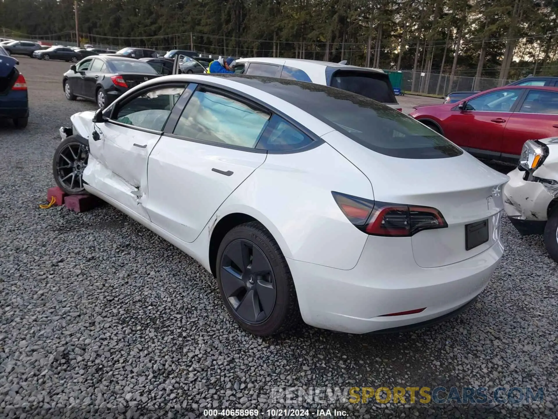 3 Photograph of a damaged car 5YJ3E1EB7PF603408 TESLA MODEL 3 2023