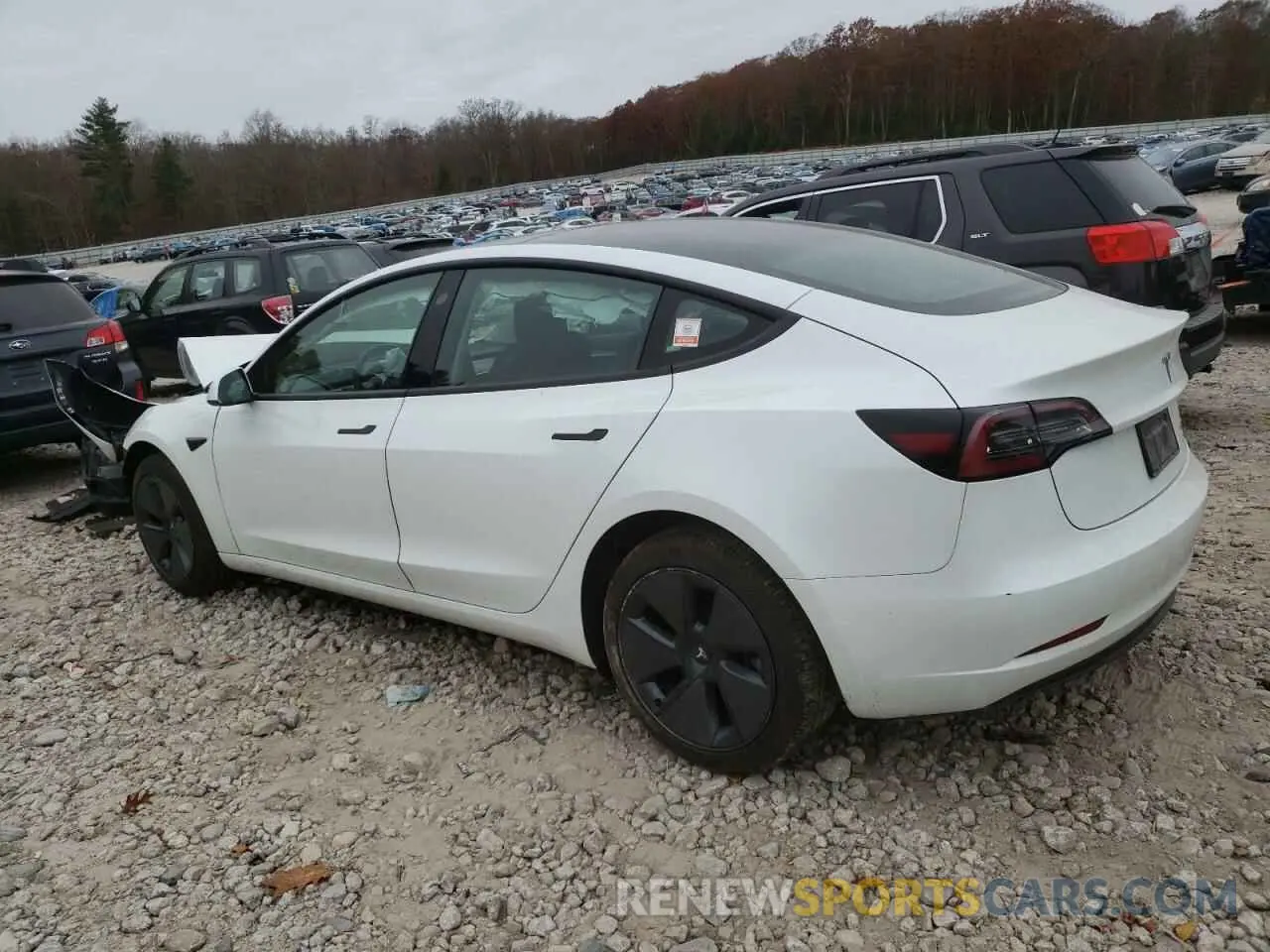 2 Фотография поврежденного автомобиля 5YJ3E1EB8PF390159 TESLA MODEL 3 2023