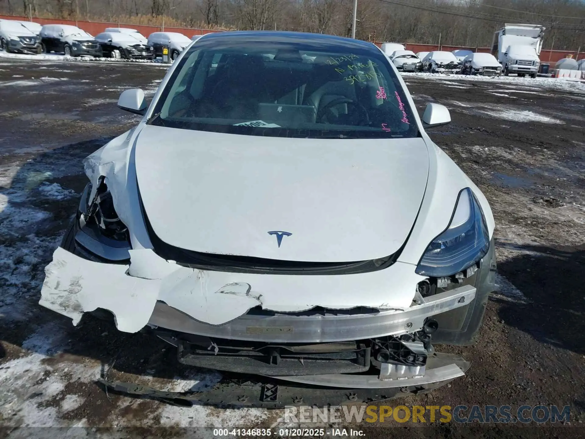 12 Photograph of a damaged car 5YJ3E1EBXPF392818 TESLA MODEL 3 2023