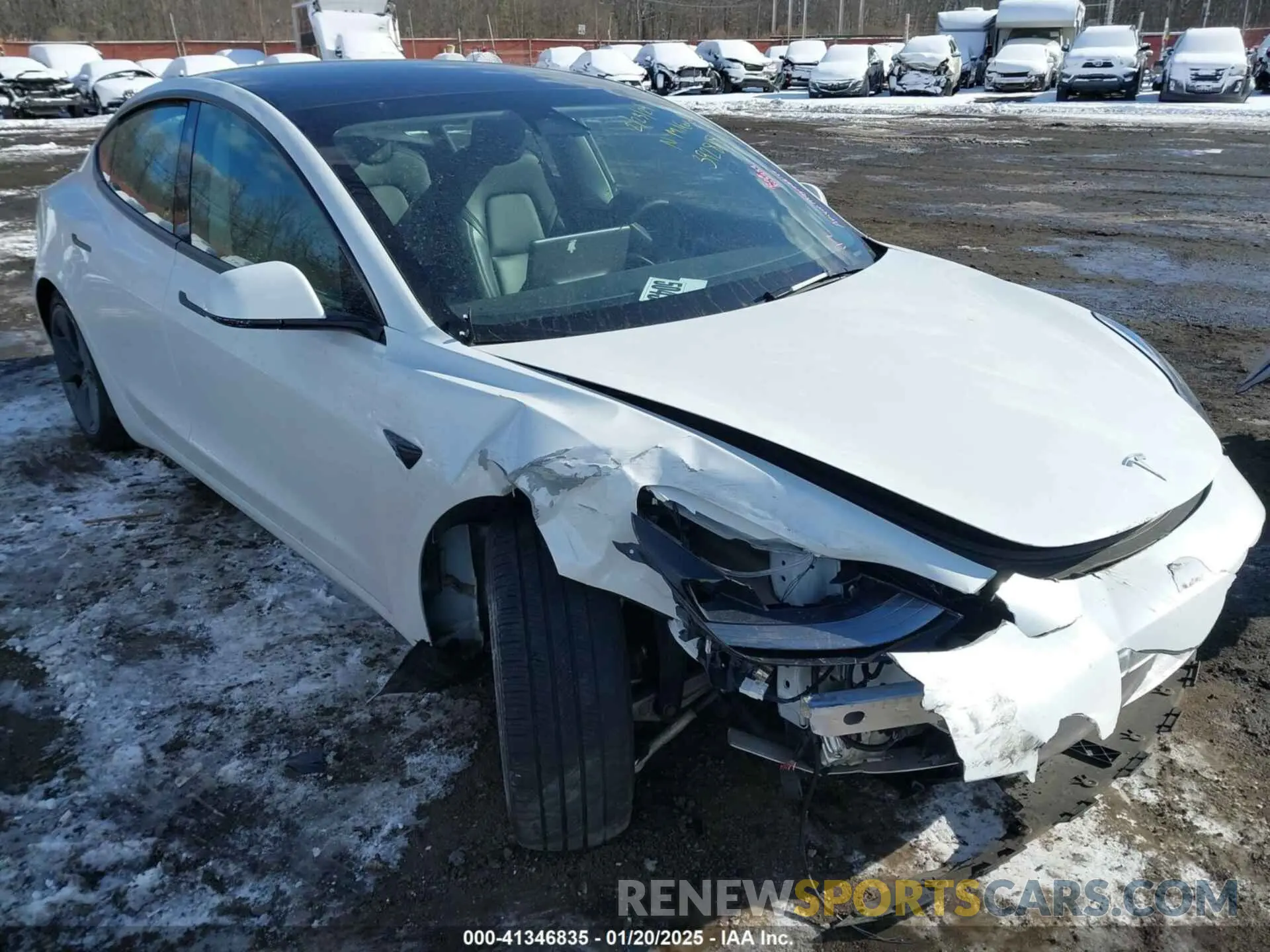 19 Photograph of a damaged car 5YJ3E1EBXPF392818 TESLA MODEL 3 2023