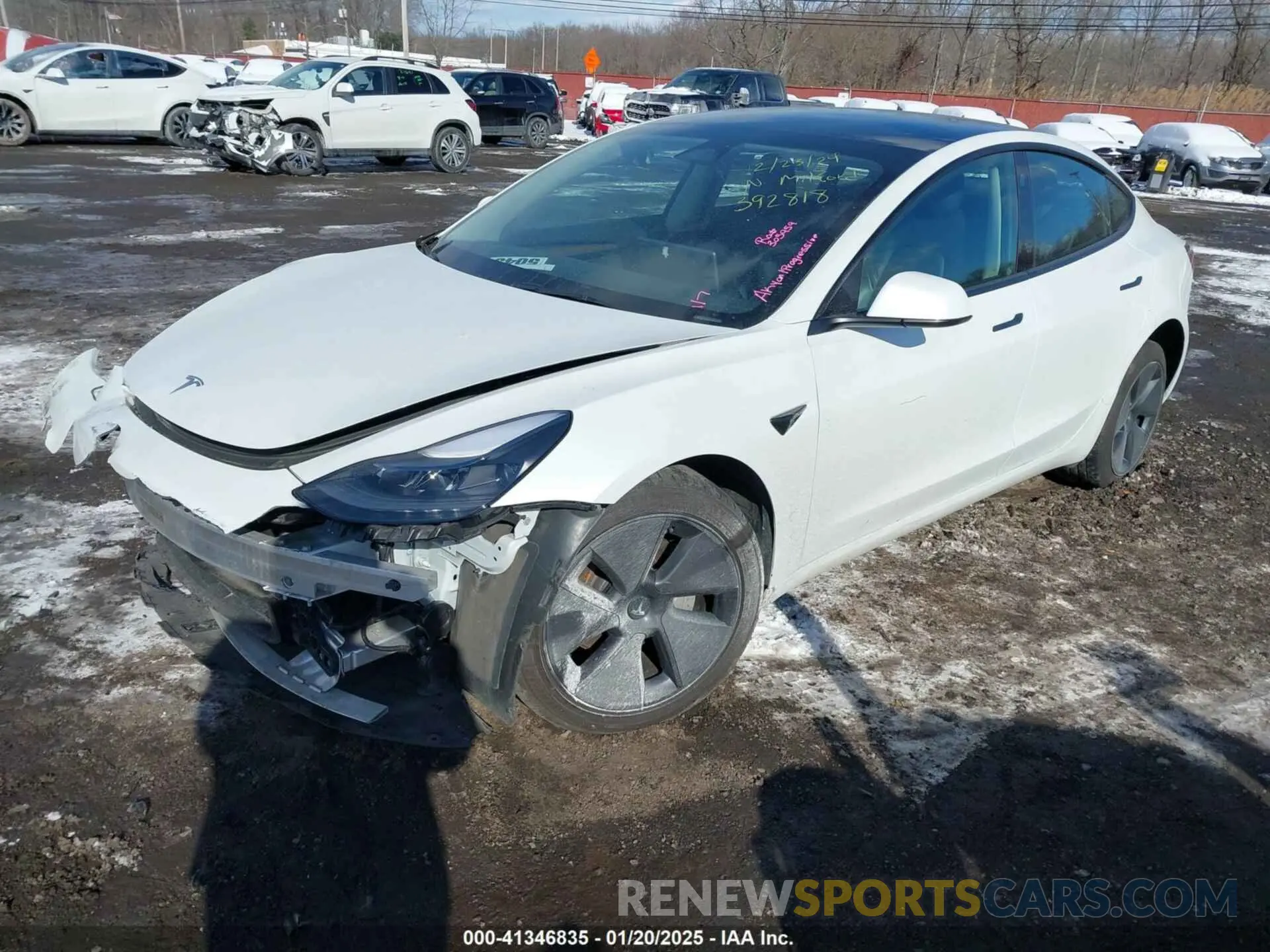 2 Photograph of a damaged car 5YJ3E1EBXPF392818 TESLA MODEL 3 2023