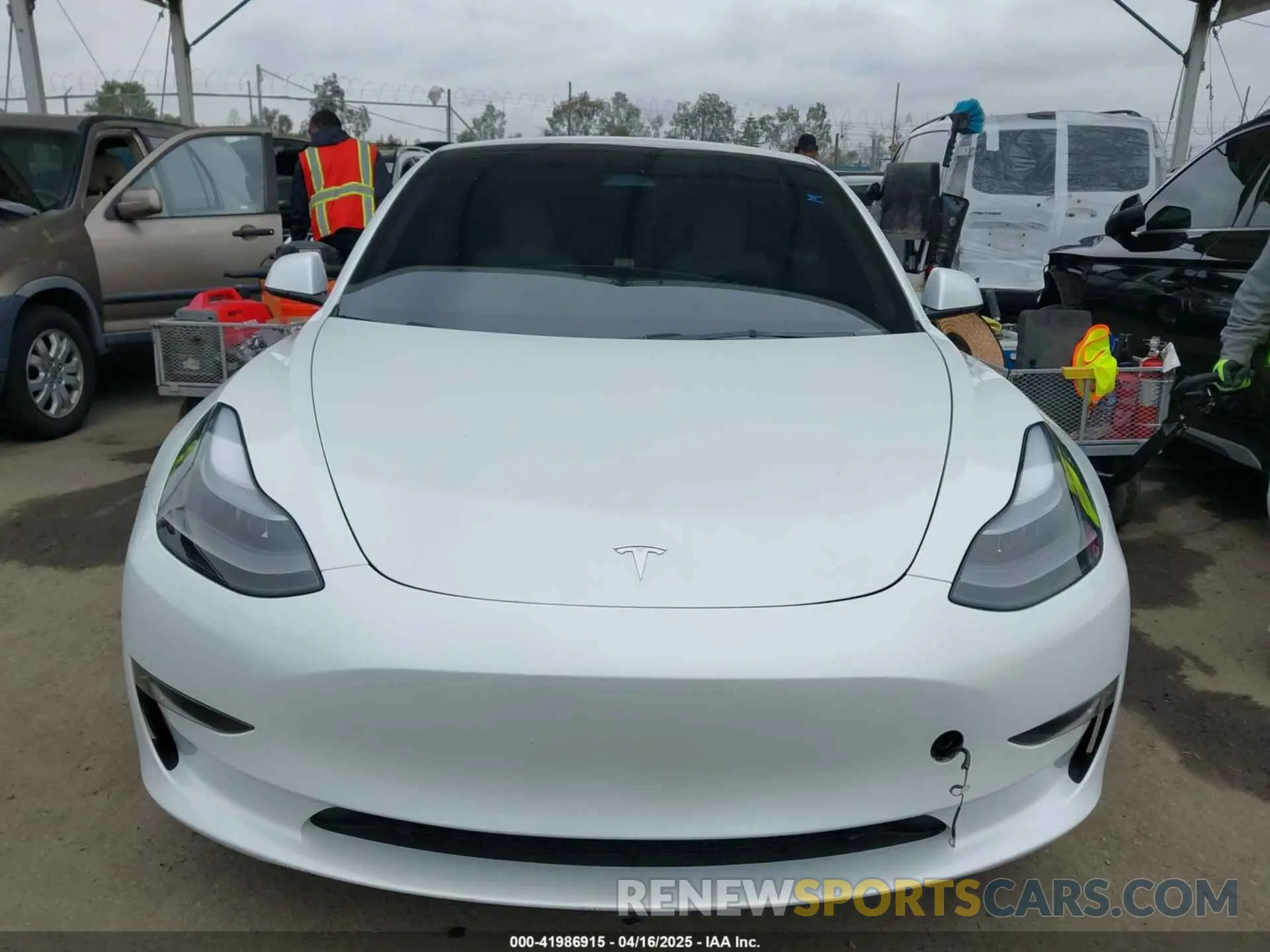 12 Фотография поврежденного автомобиля 5YJ3E1EBXPF712235 TESLA MODEL 3 2023