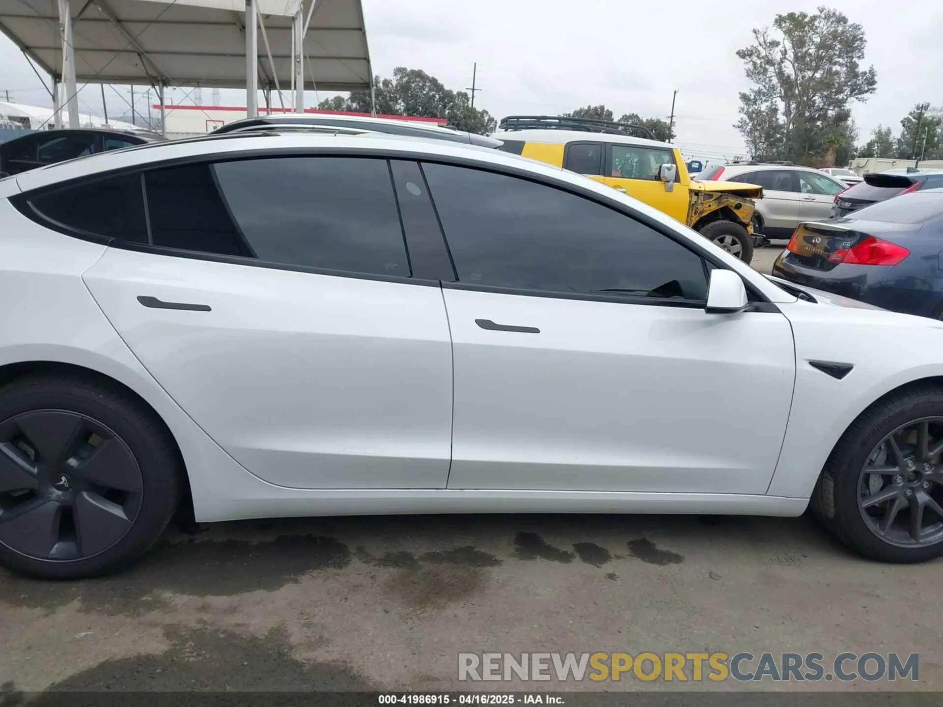 13 Фотография поврежденного автомобиля 5YJ3E1EBXPF712235 TESLA MODEL 3 2023
