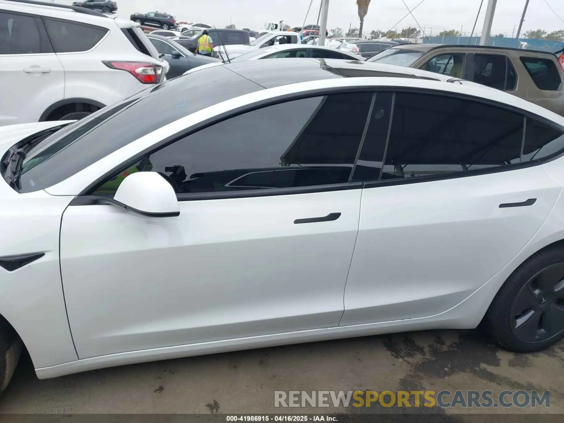14 Фотография поврежденного автомобиля 5YJ3E1EBXPF712235 TESLA MODEL 3 2023