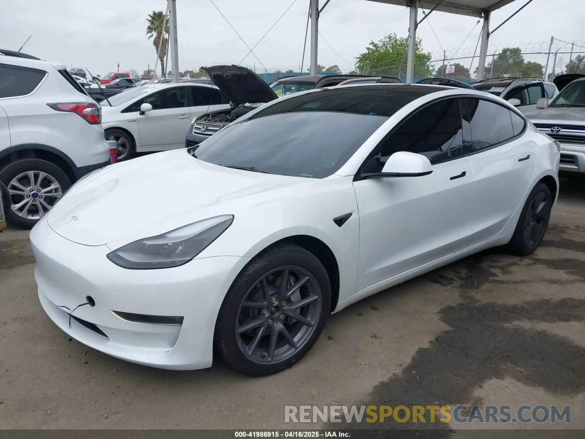 2 Фотография поврежденного автомобиля 5YJ3E1EBXPF712235 TESLA MODEL 3 2023