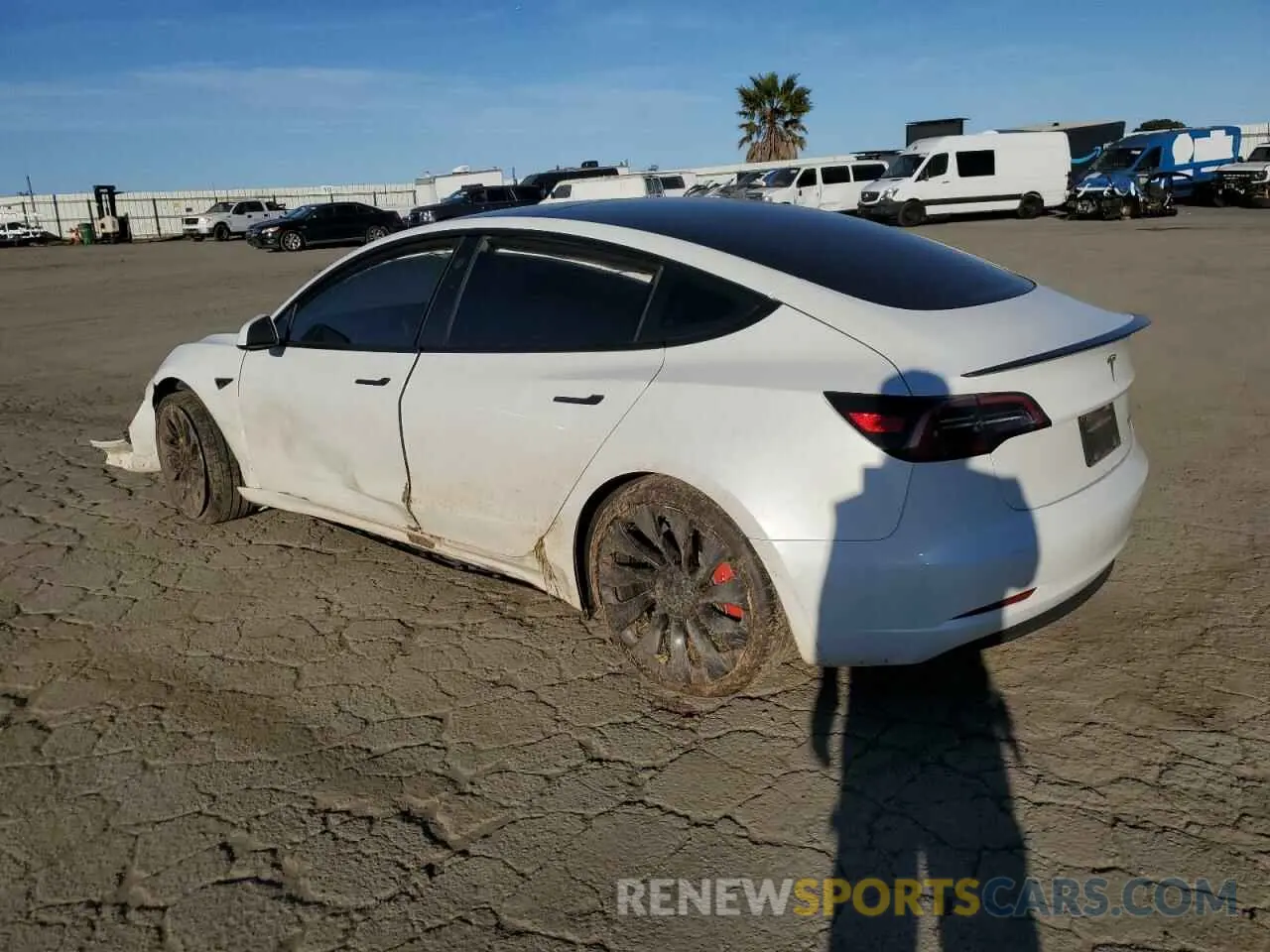 2 Photograph of a damaged car 5YJ3E1EC3PF556807 TESLA MODEL 3 2023