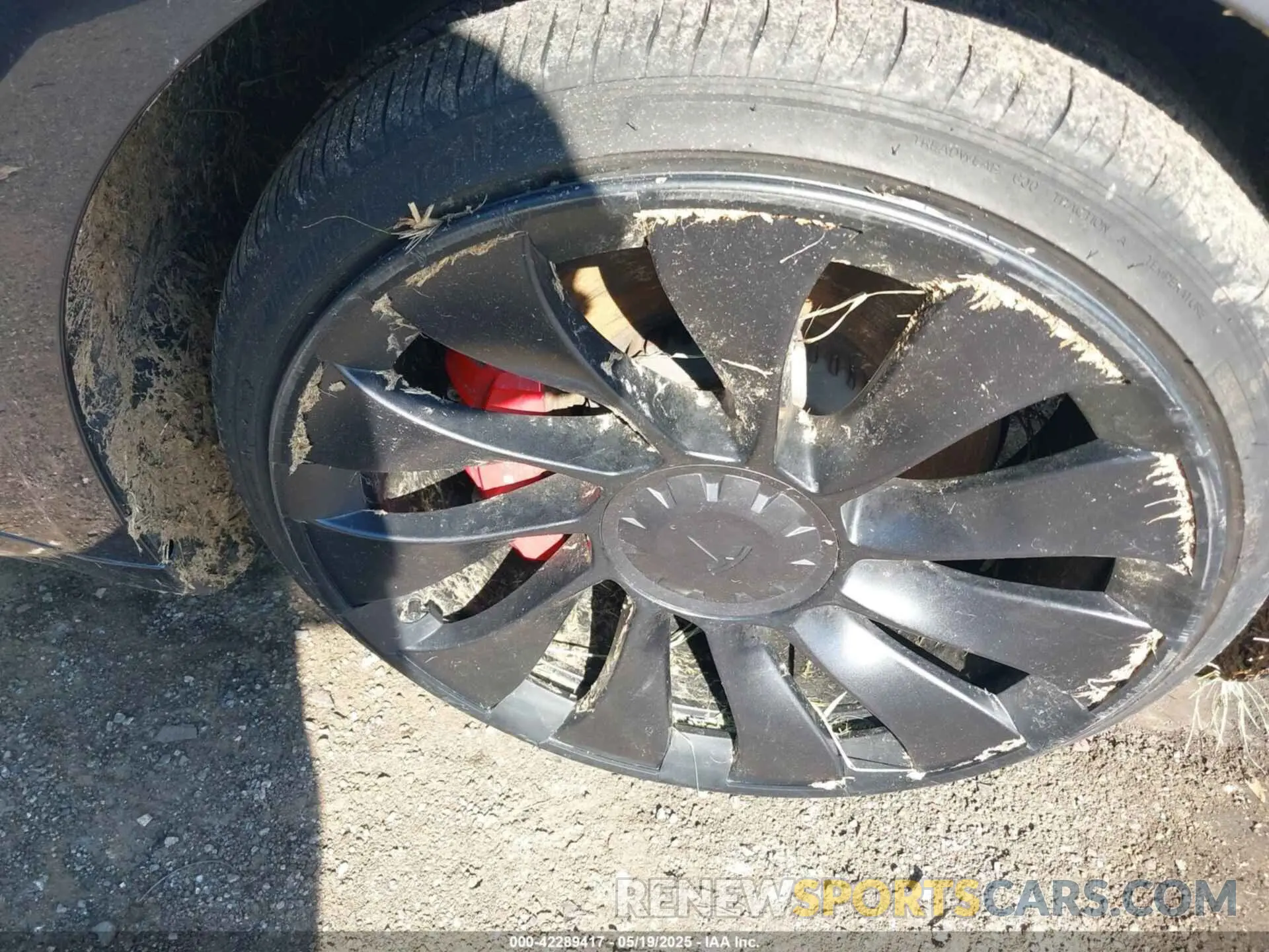 12 Photograph of a damaged car 5YJ3E1ECXPF482320 TESLA MODEL 3 2023