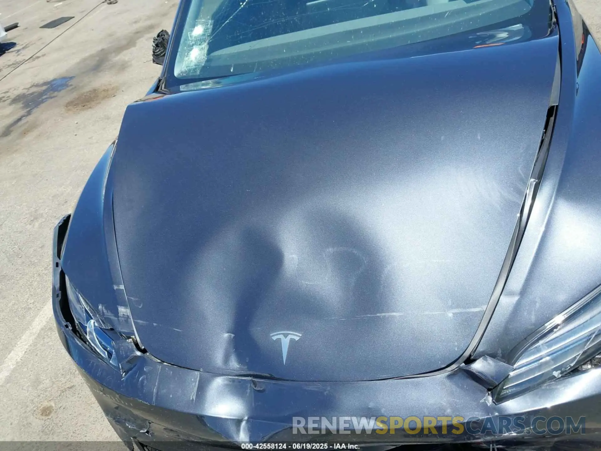 10 Фотография поврежденного автомобиля 5YJ3E1EA1RF861420 TESLA MODEL 3 2024