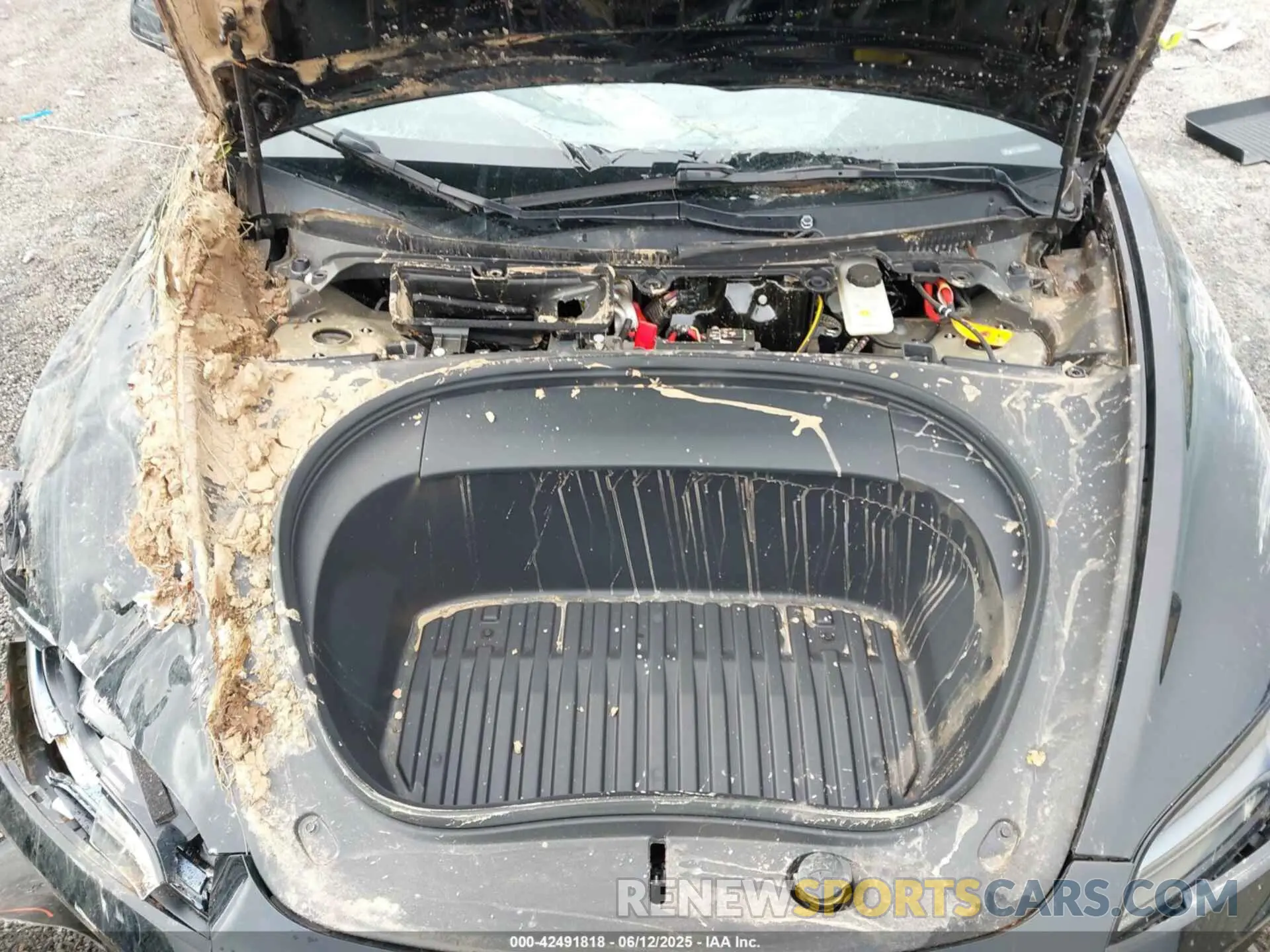 10 Фотография поврежденного автомобиля 5YJ3E1EA3RF729159 TESLA MODEL 3 2024