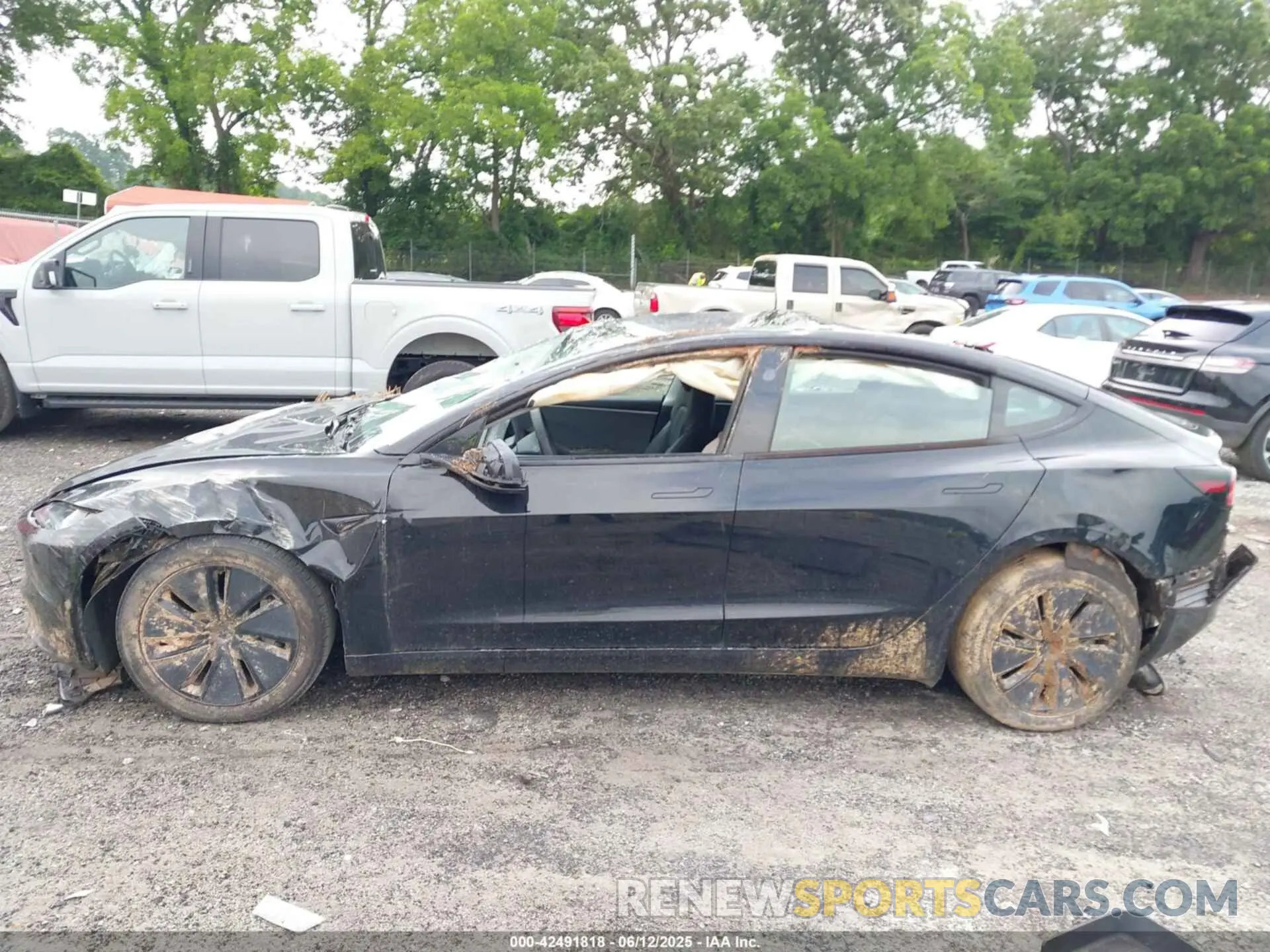 13 Фотография поврежденного автомобиля 5YJ3E1EA3RF729159 TESLA MODEL 3 2024