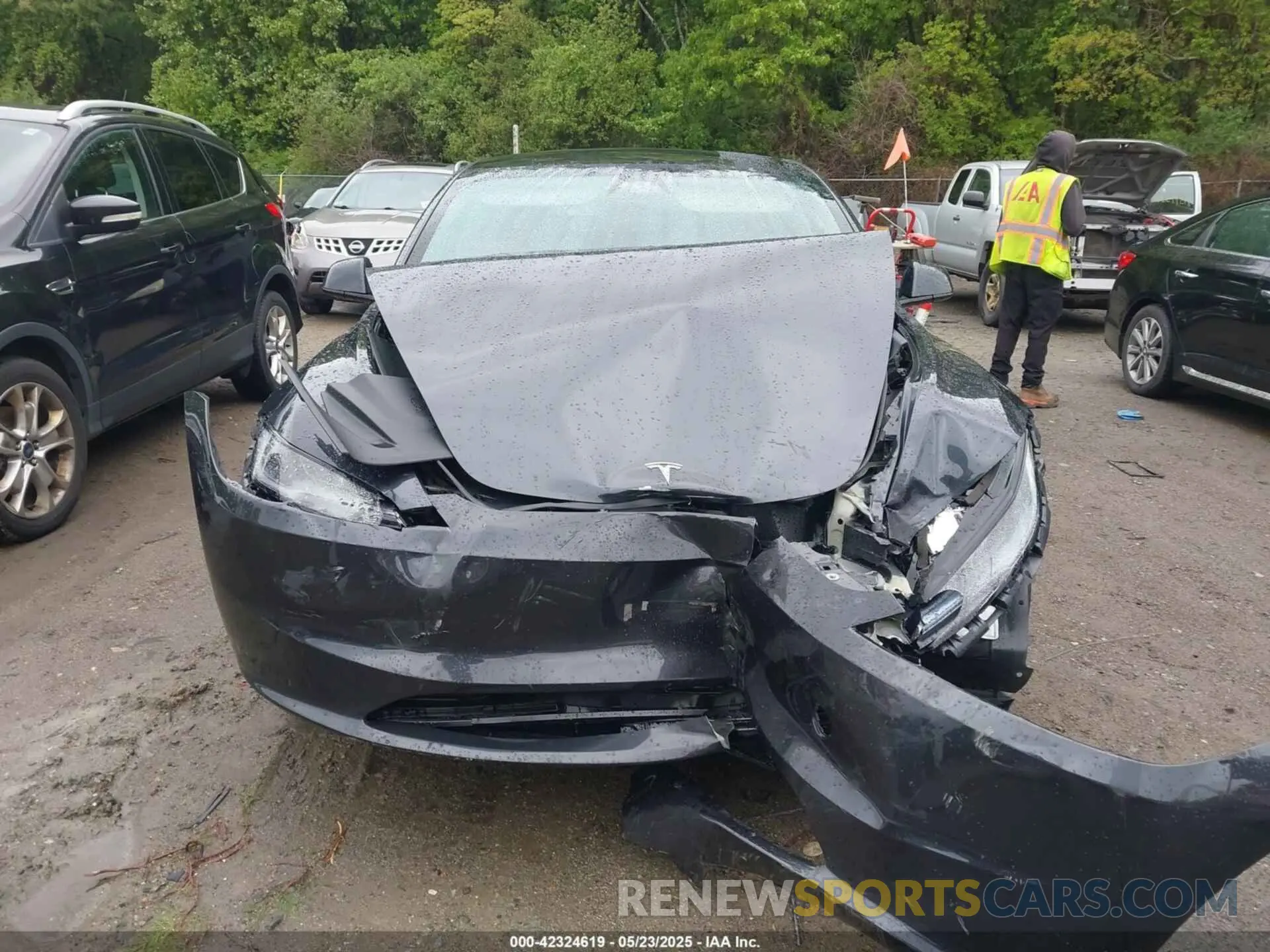 12 Photograph of a damaged car 5YJ3E1EA3RF831013 TESLA MODEL 3 2024