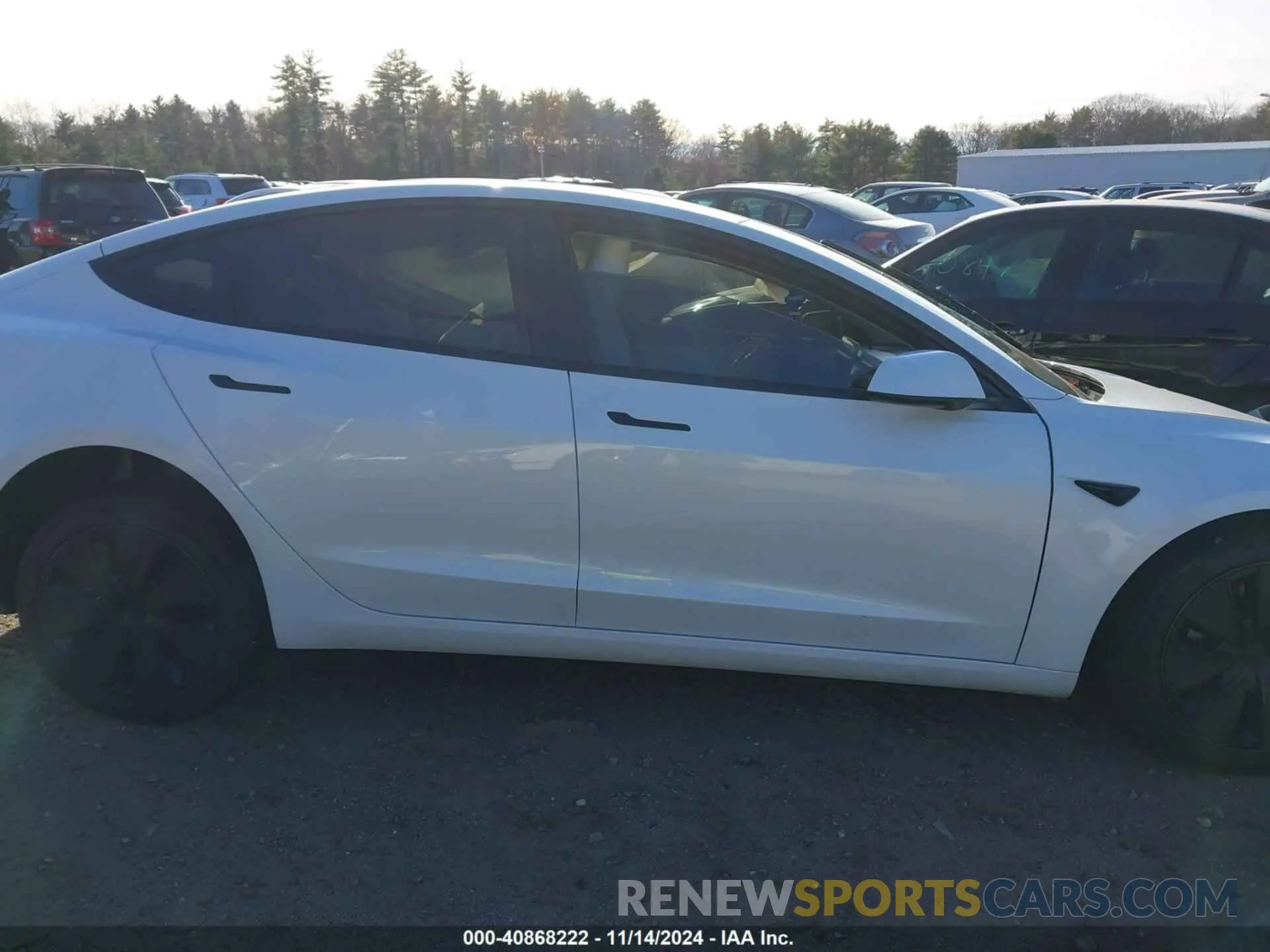 13 Фотография поврежденного автомобиля 5YJ3E1EA4RF849567 TESLA MODEL 3 2024