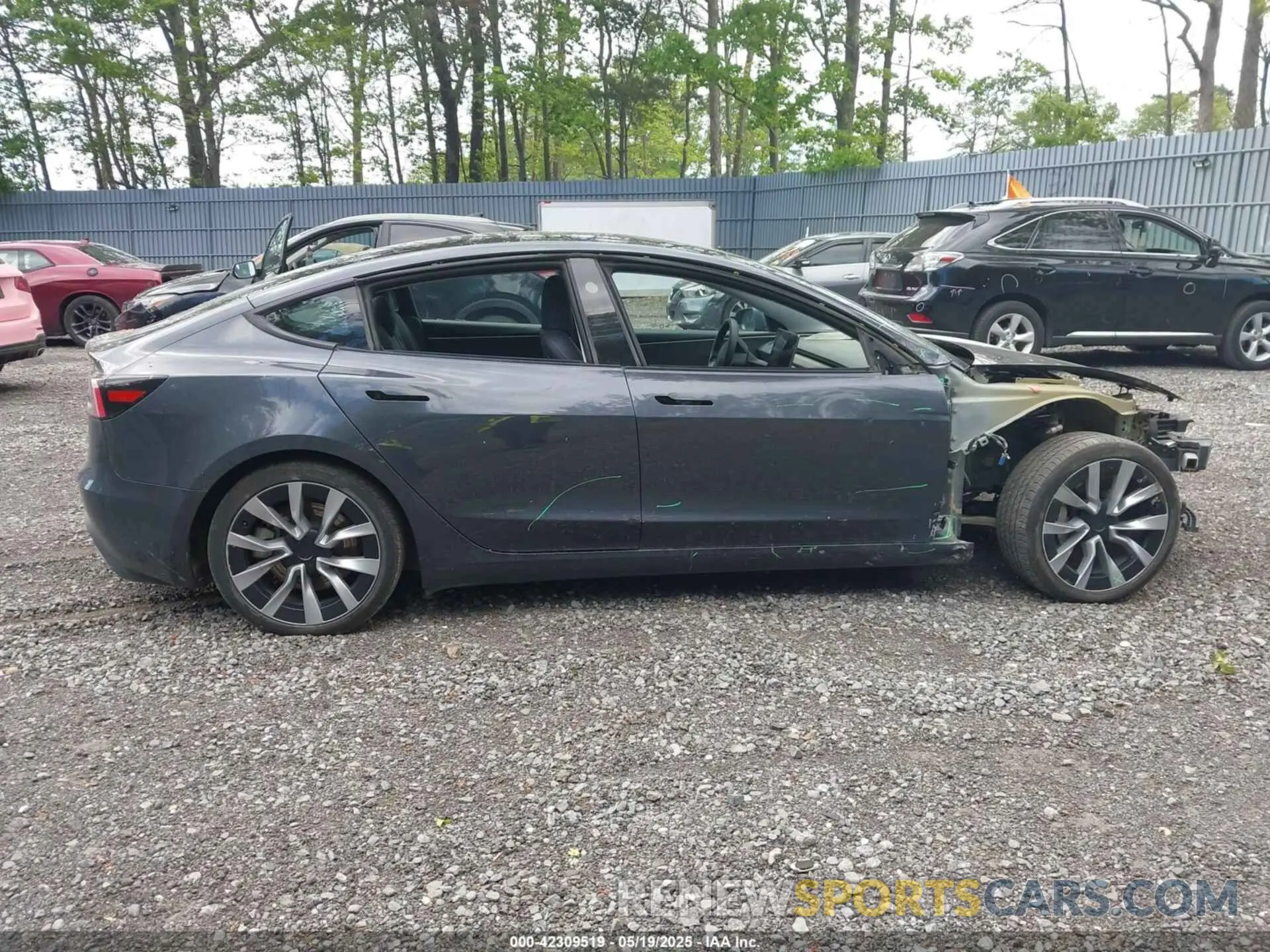 14 Фотография поврежденного автомобиля 5YJ3E1EA5RF722519 TESLA MODEL 3 2024