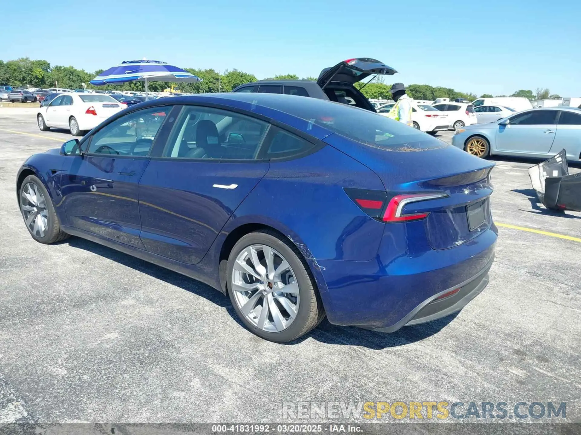 3 Photograph of a damaged car 5YJ3E1EAXRF751577 TESLA MODEL 3 2024