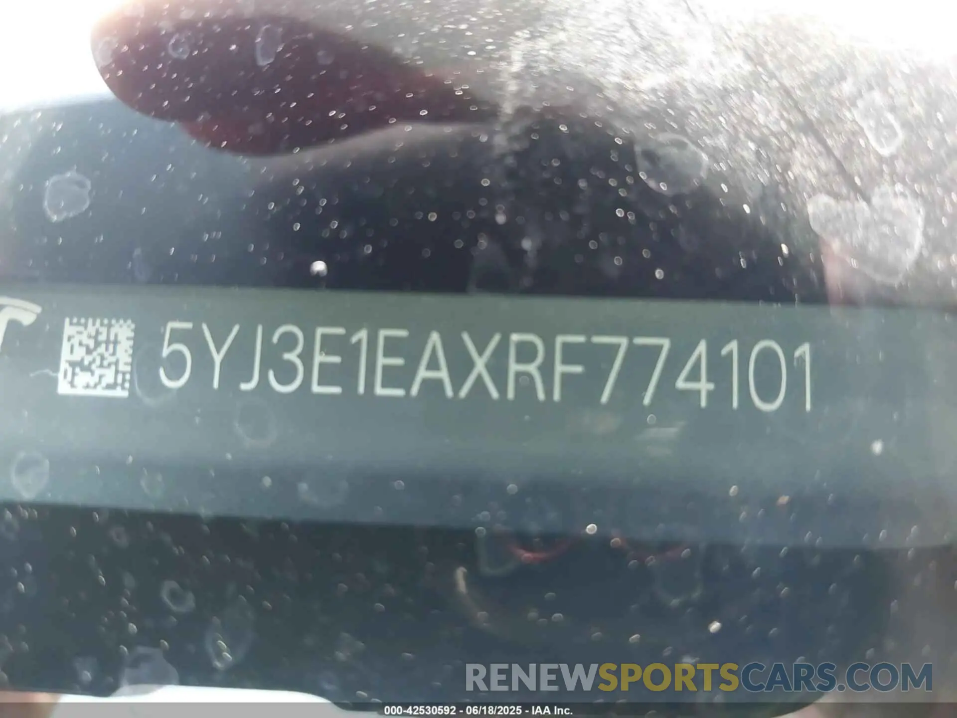 19 Photograph of a damaged car 5YJ3E1EAXRF774101 TESLA MODEL 3 2024
