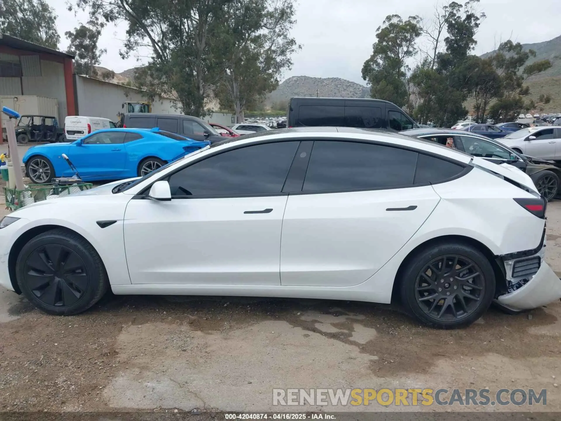 13 Фотография поврежденного автомобиля 5YJ3E1EB6RF842807 TESLA MODEL 3 2024