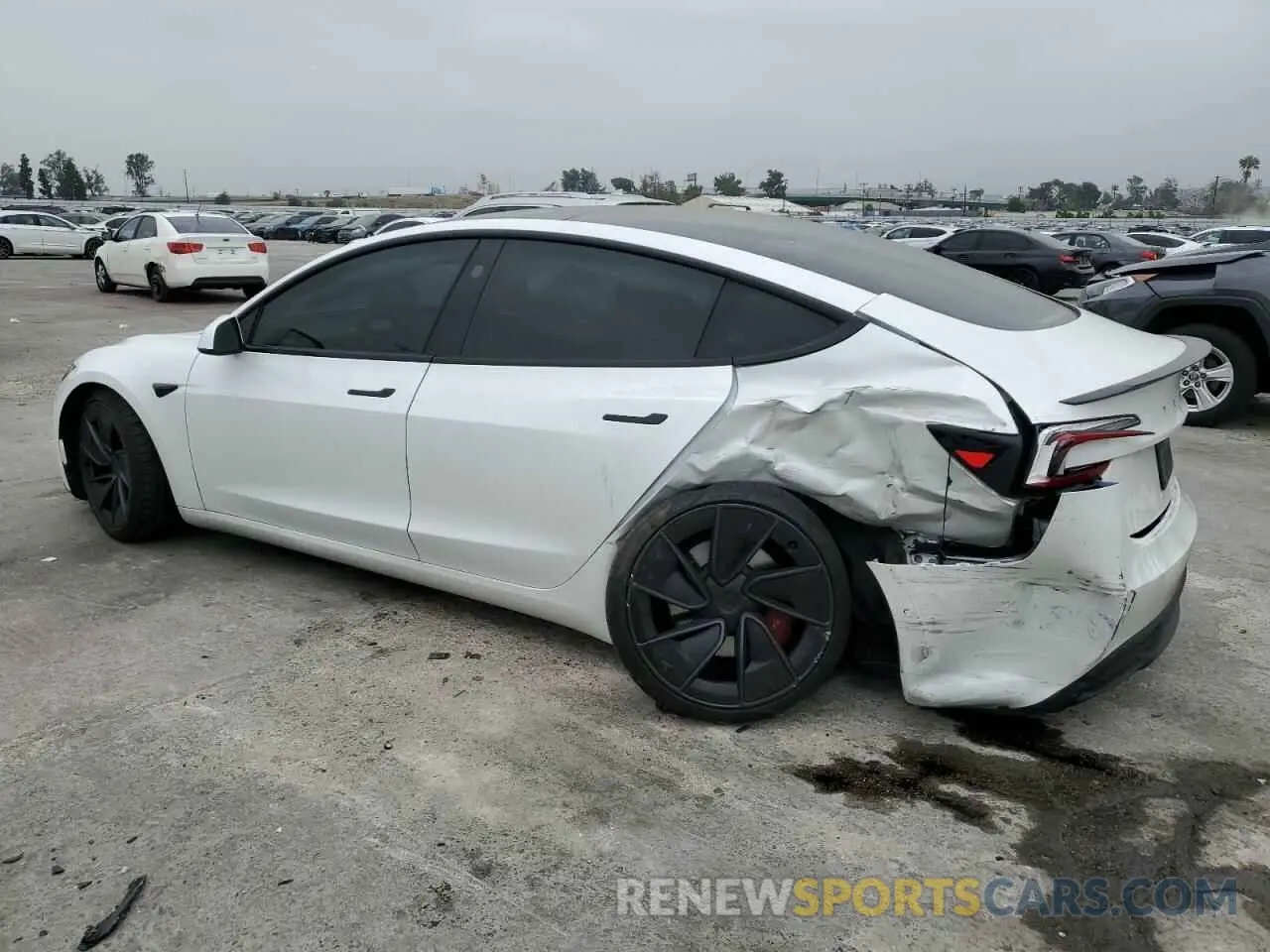 2 Фотография поврежденного автомобиля 5YJ3E1ET2RF790004 TESLA MODEL 3 2024