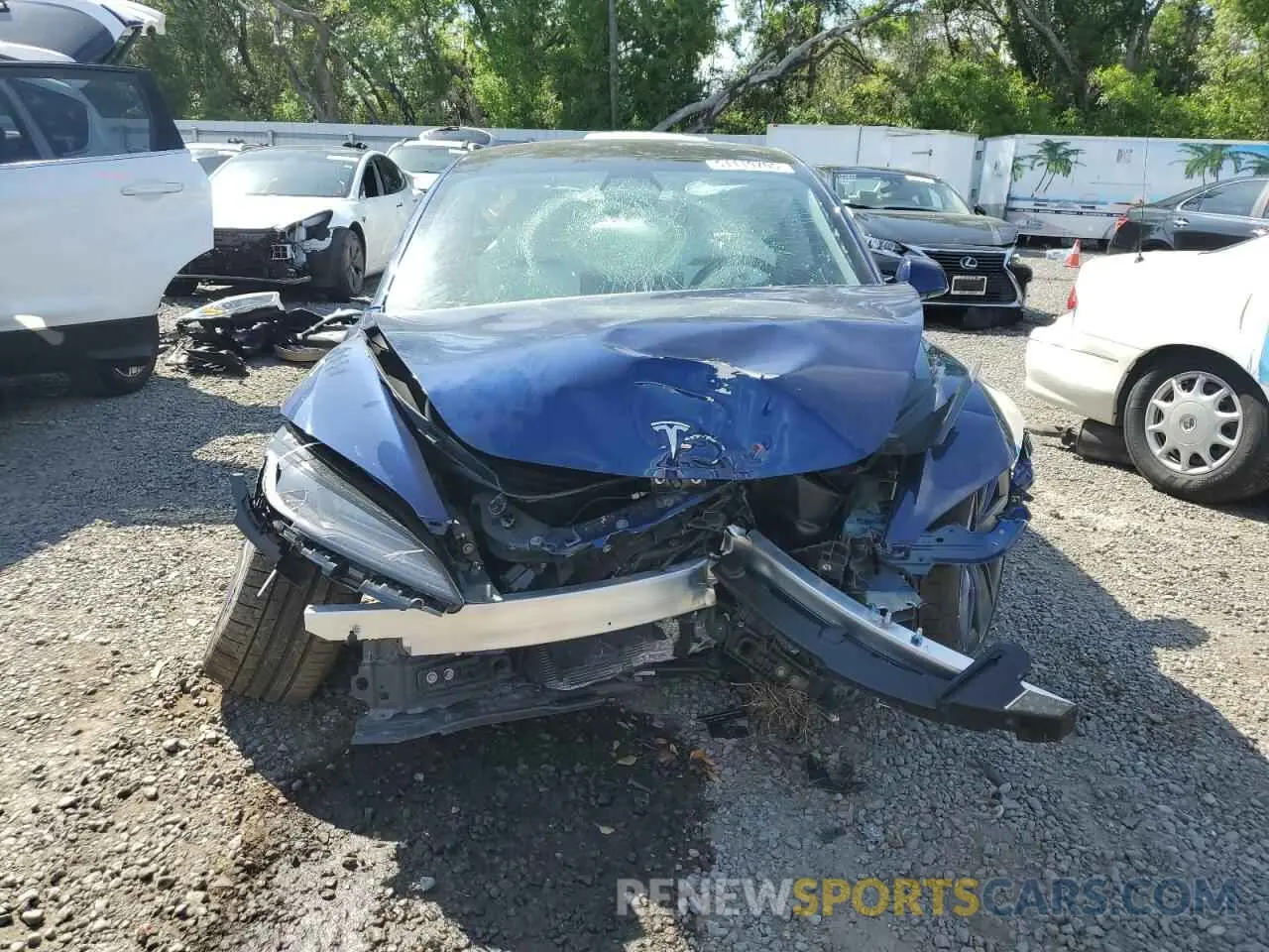 5 Фотография поврежденного автомобиля 5YJ3E1ET9RF769554 TESLA MODEL 3 2024