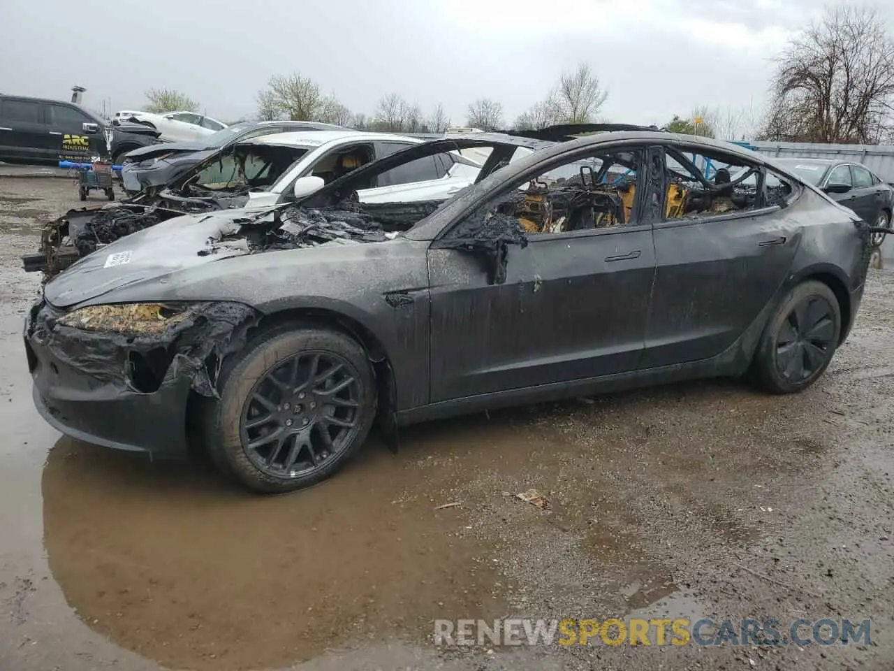 1 Photograph of a damaged car LRW3E7EB6RC259022 TESLA MODEL 3 2024