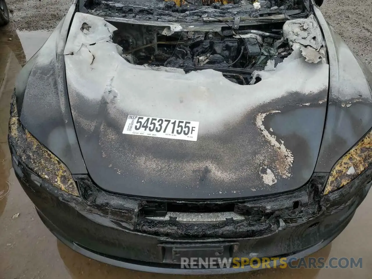 11 Photograph of a damaged car LRW3E7EB6RC259022 TESLA MODEL 3 2024