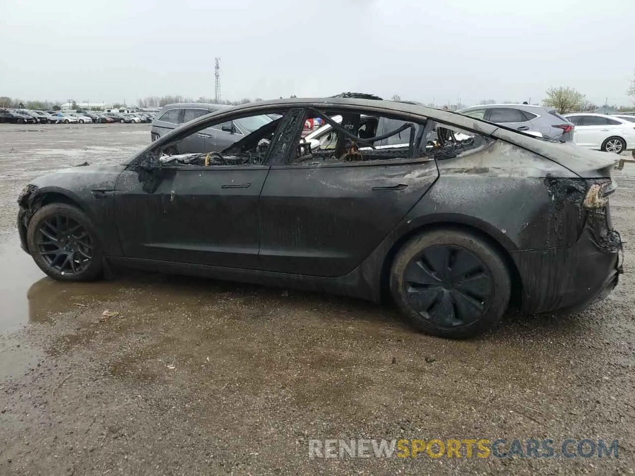 2 Photograph of a damaged car LRW3E7EB6RC259022 TESLA MODEL 3 2024