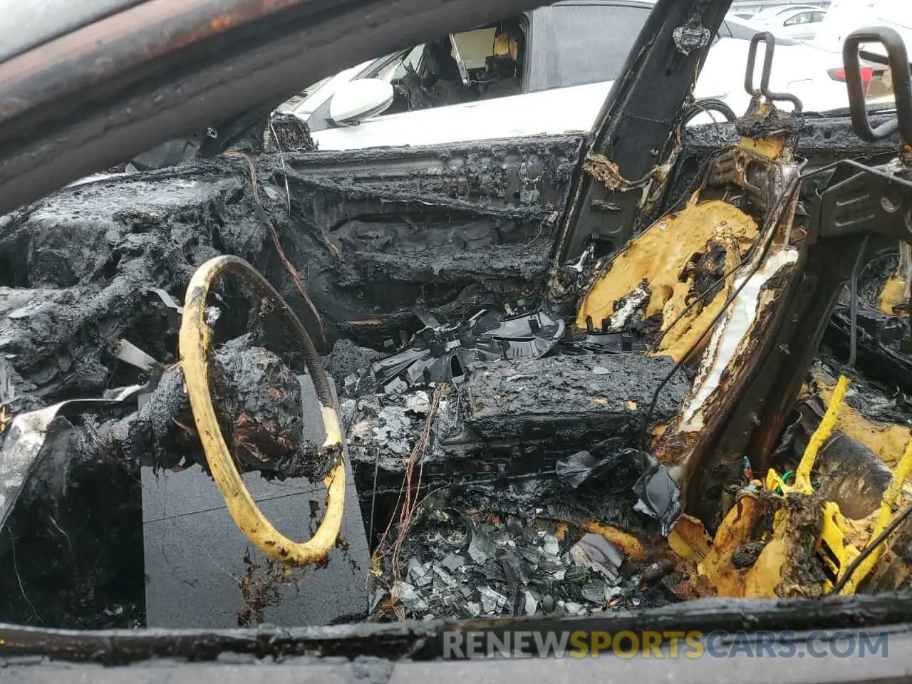 7 Photograph of a damaged car LRW3E7EB6RC259022 TESLA MODEL 3 2024