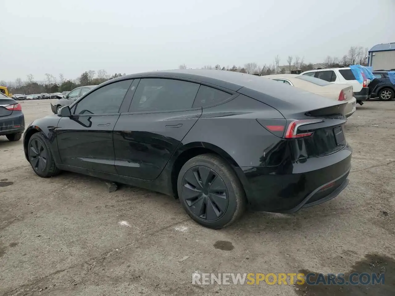 2 Photograph of a damaged car 5YJ3E1EA0SF890851 TESLA MODEL 3 2025