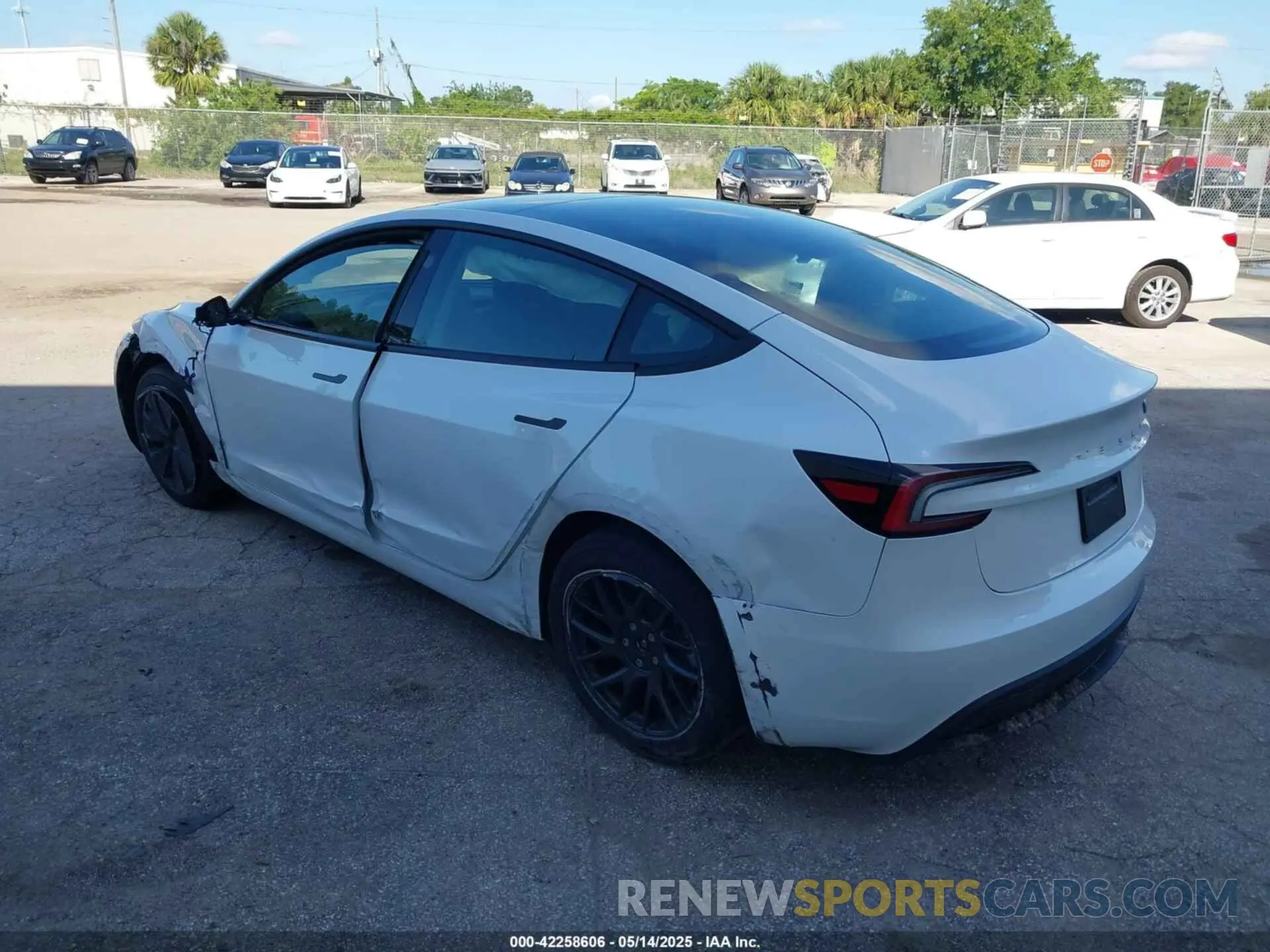 3 Photograph of a damaged car 5YJ3E1EA2SF988439 TESLA MODEL 3 2025
