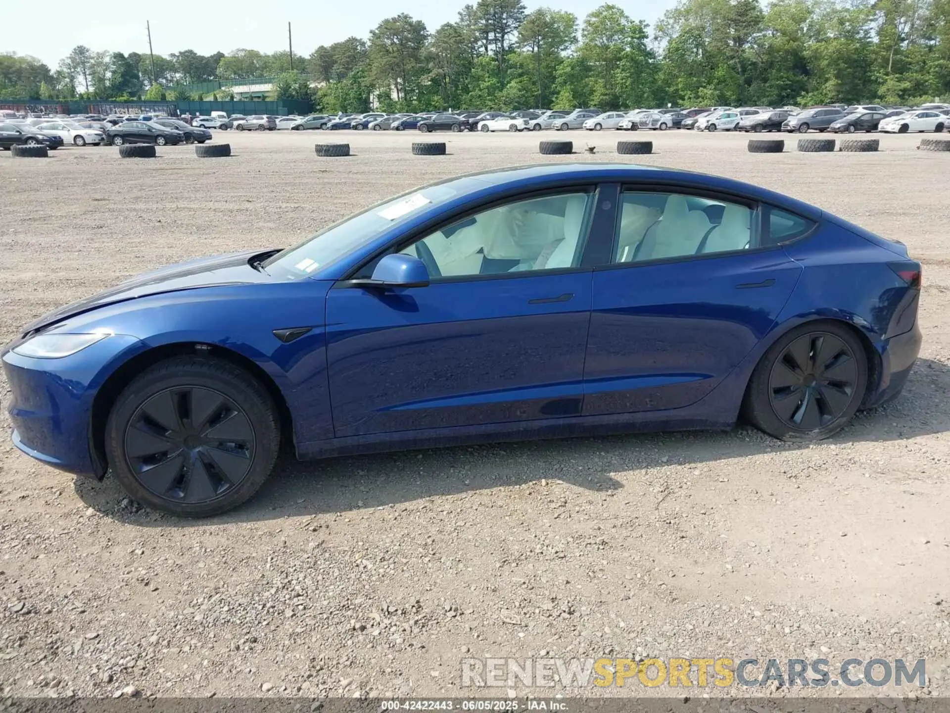 13 Фотография поврежденного автомобиля 5YJ3E1EB6SF874419 TESLA MODEL 3 2025