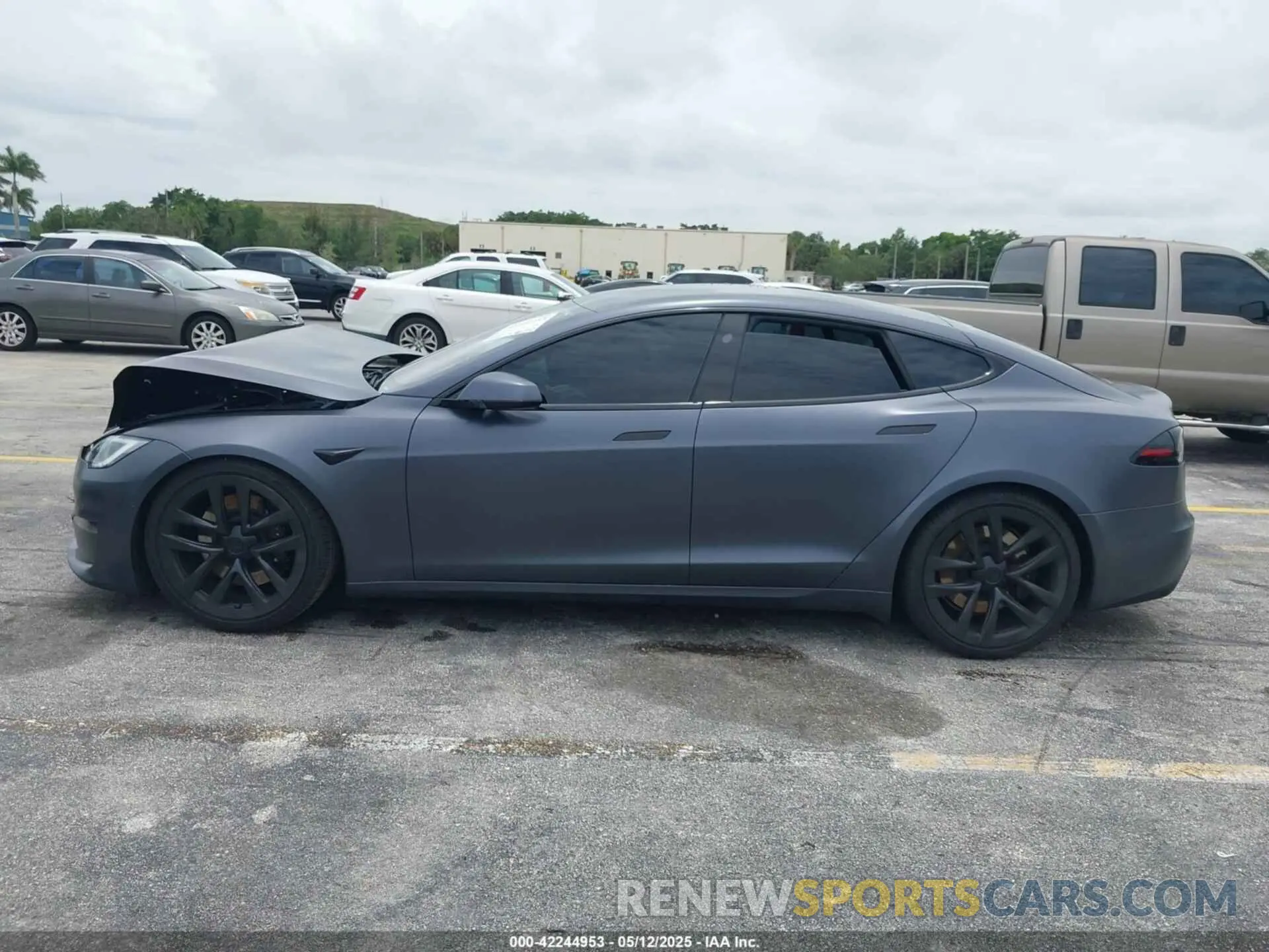 13 Photograph of a damaged car 5YJSA1E54PF501565 TESLA MODEL S 2023