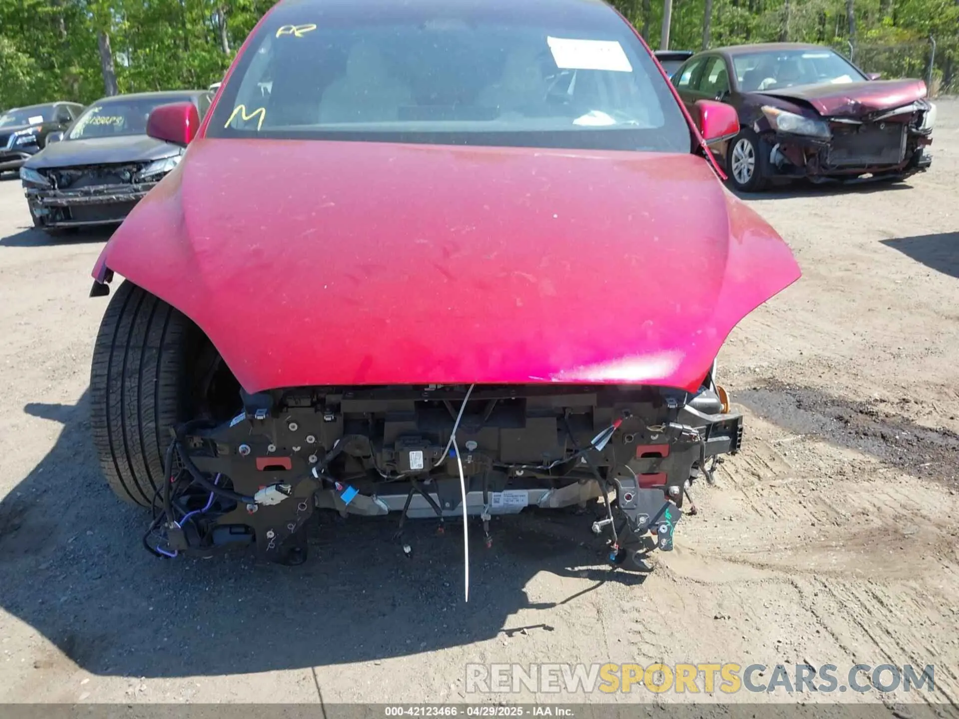 12 Photograph of a damaged car 7SAXCAE56RF460197 TESLA MODEL X 2024