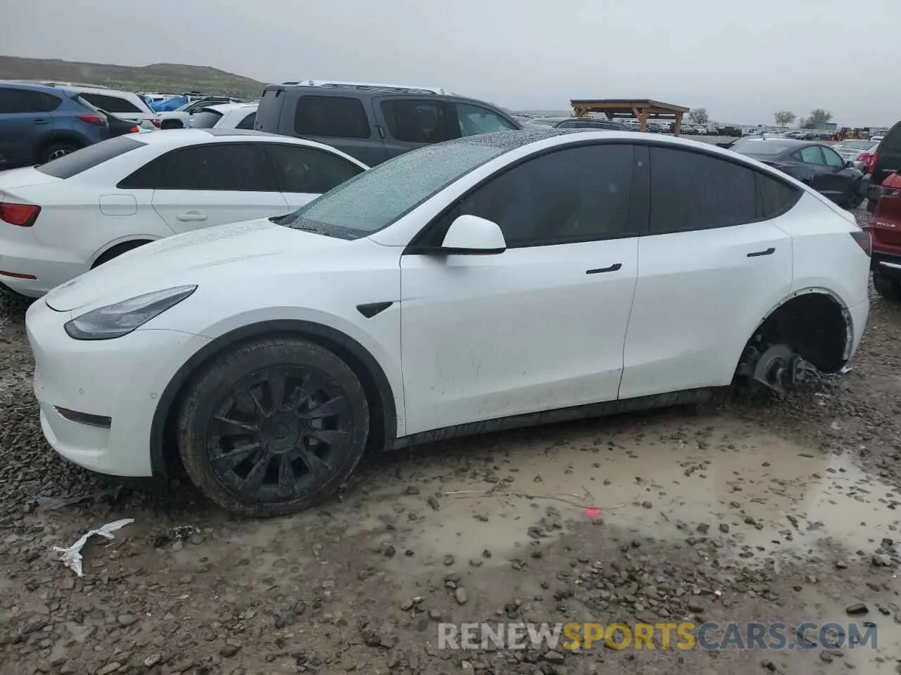 1 Photograph of a damaged car 5YJYGDEE4LF052702 TESLA MODEL Y 2020