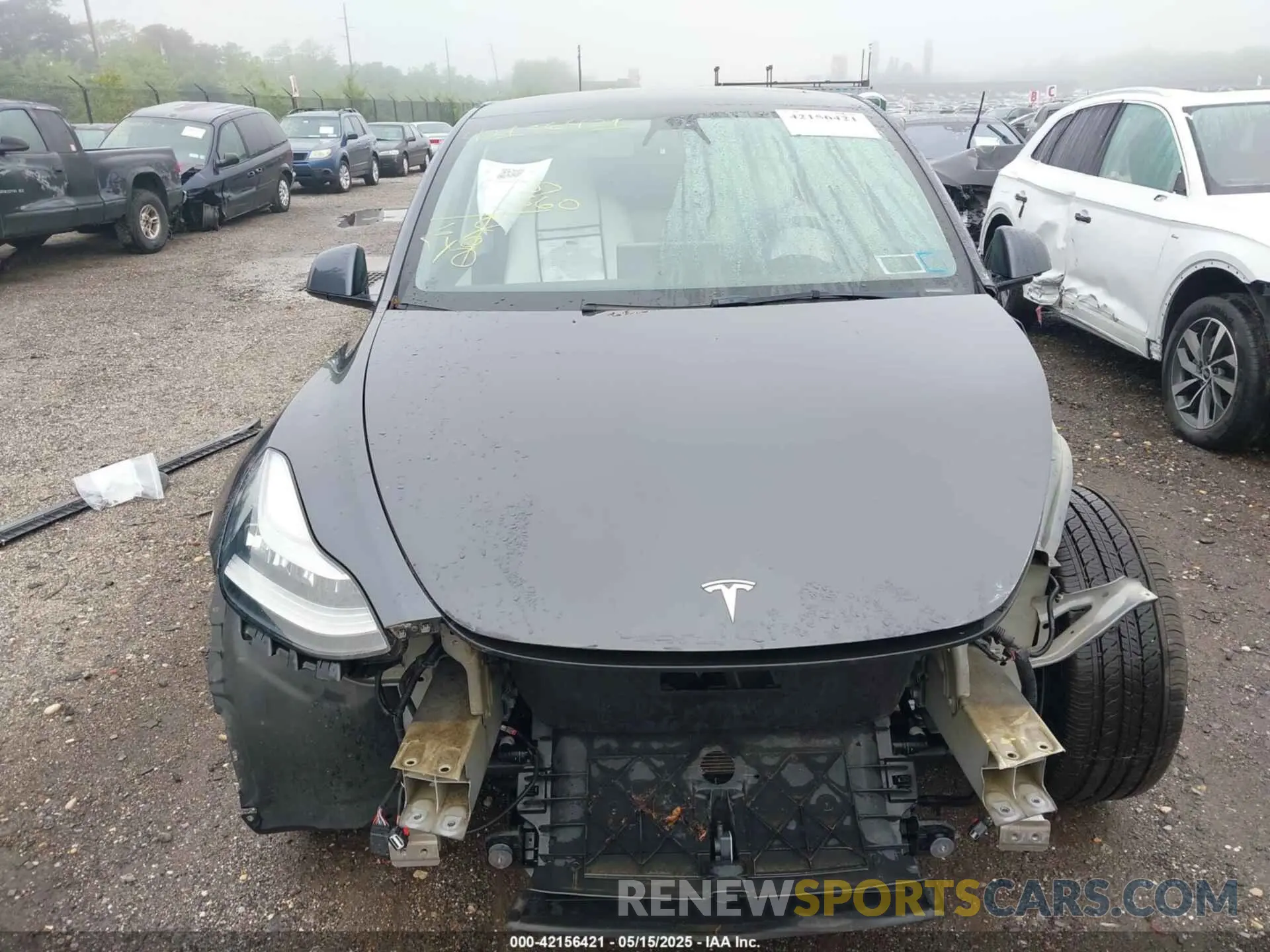 12 Photograph of a damaged car 5YJYGAEE1MF145161 TESLA MODEL Y 2021