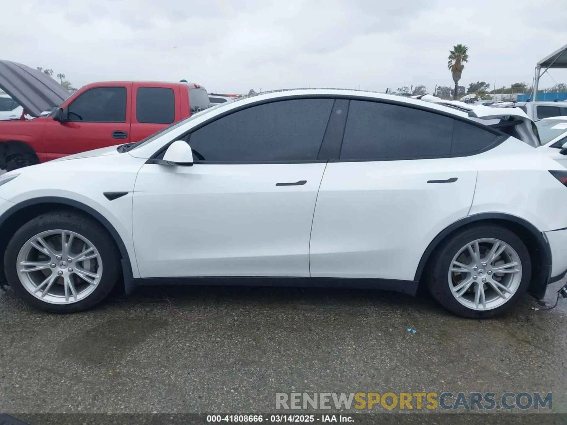 13 Фотография поврежденного автомобиля 5YJYGAEE2MF260142 TESLA MODEL Y 2021