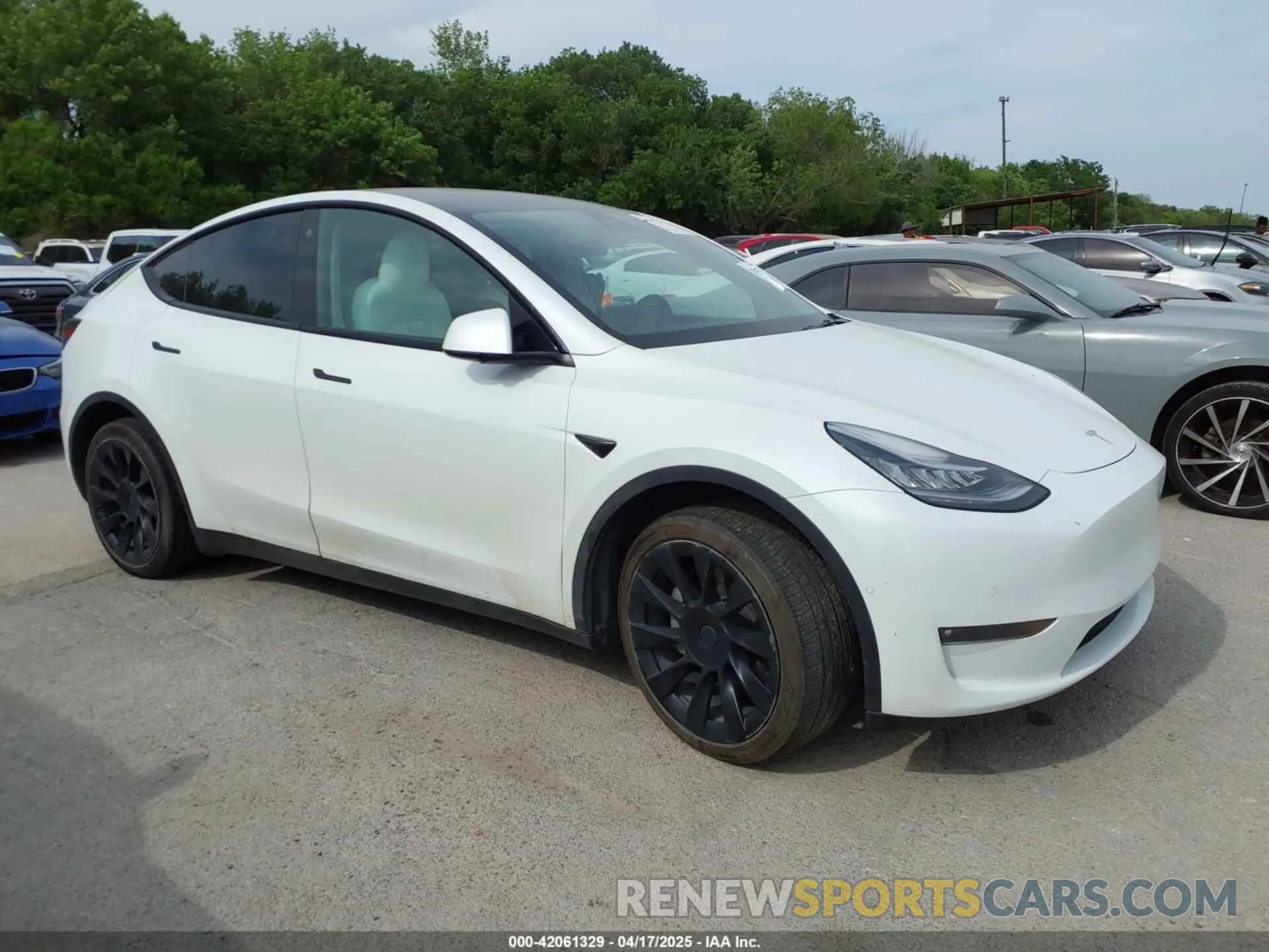 12 Фотография поврежденного автомобиля 5YJYGAEE6MF212241 TESLA MODEL Y 2021