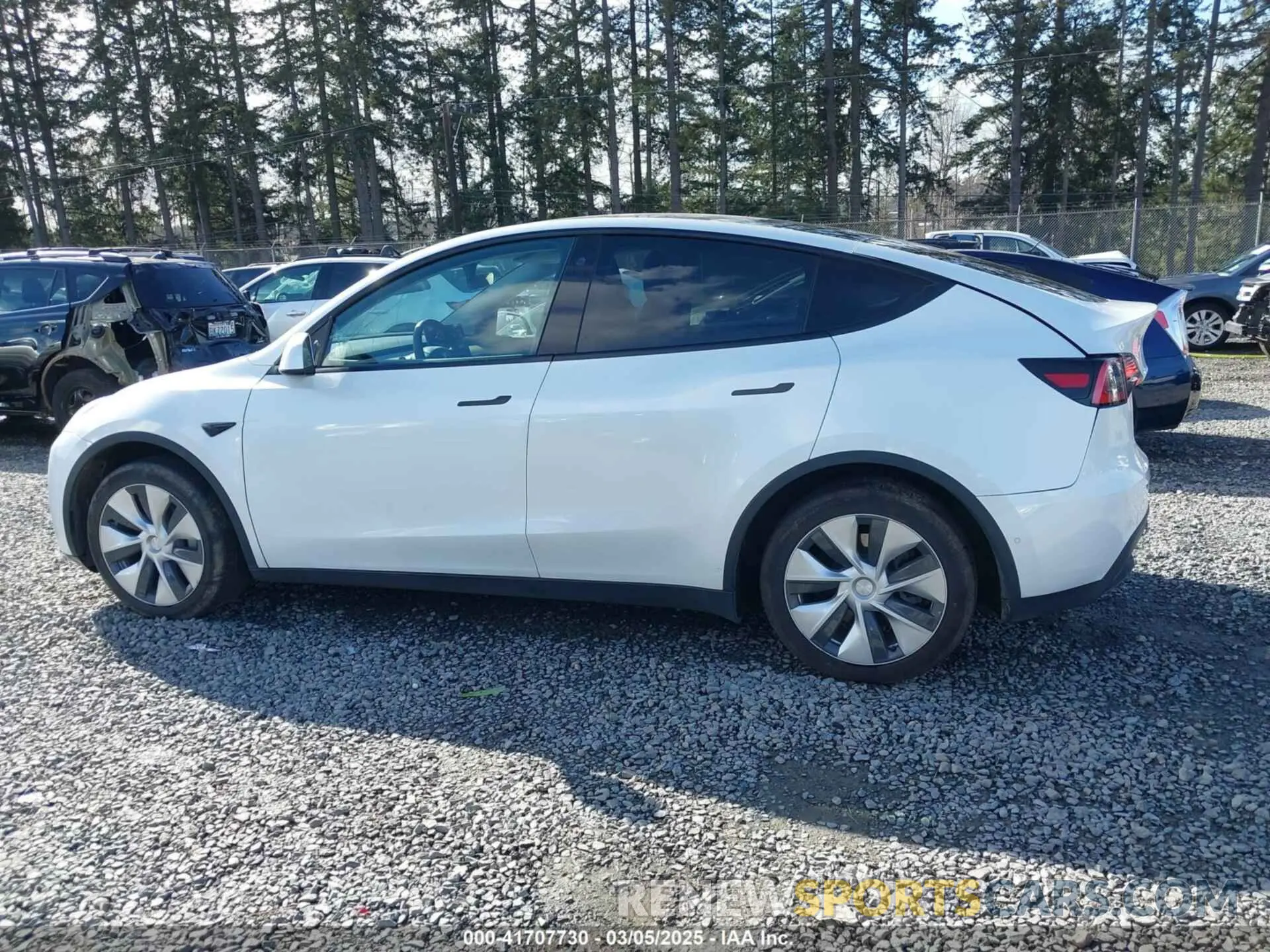14 Фотография поврежденного автомобиля 5YJYGDED9MF110697 TESLA MODEL Y 2021