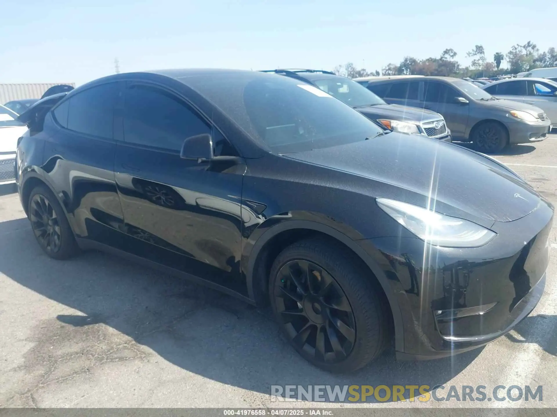 12 Photograph of a damaged car 5YJYGDEE0MF219252 TESLA MODEL Y 2021