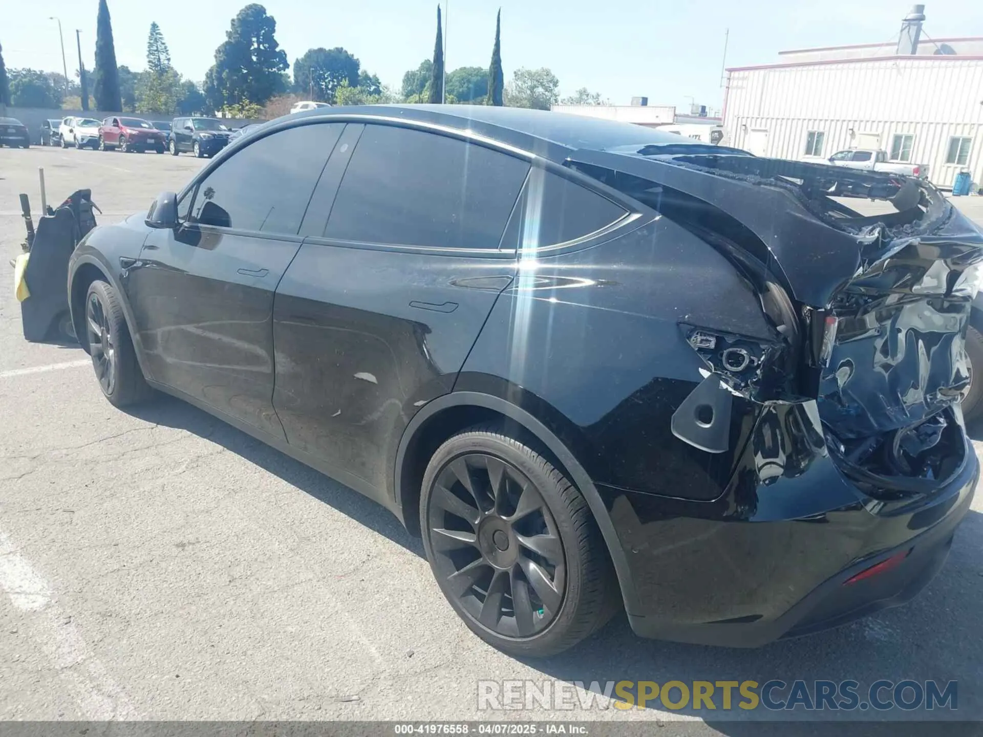 13 Photograph of a damaged car 5YJYGDEE0MF219252 TESLA MODEL Y 2021