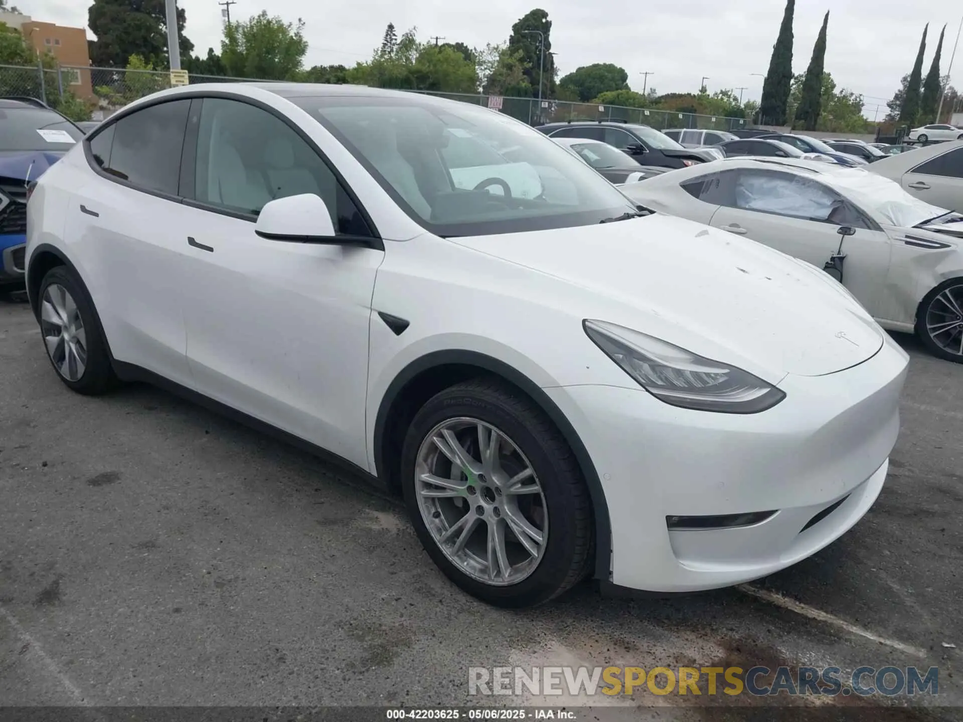 1 Фотография поврежденного автомобиля 5YJYGDEE1MF140334 TESLA MODEL Y 2021