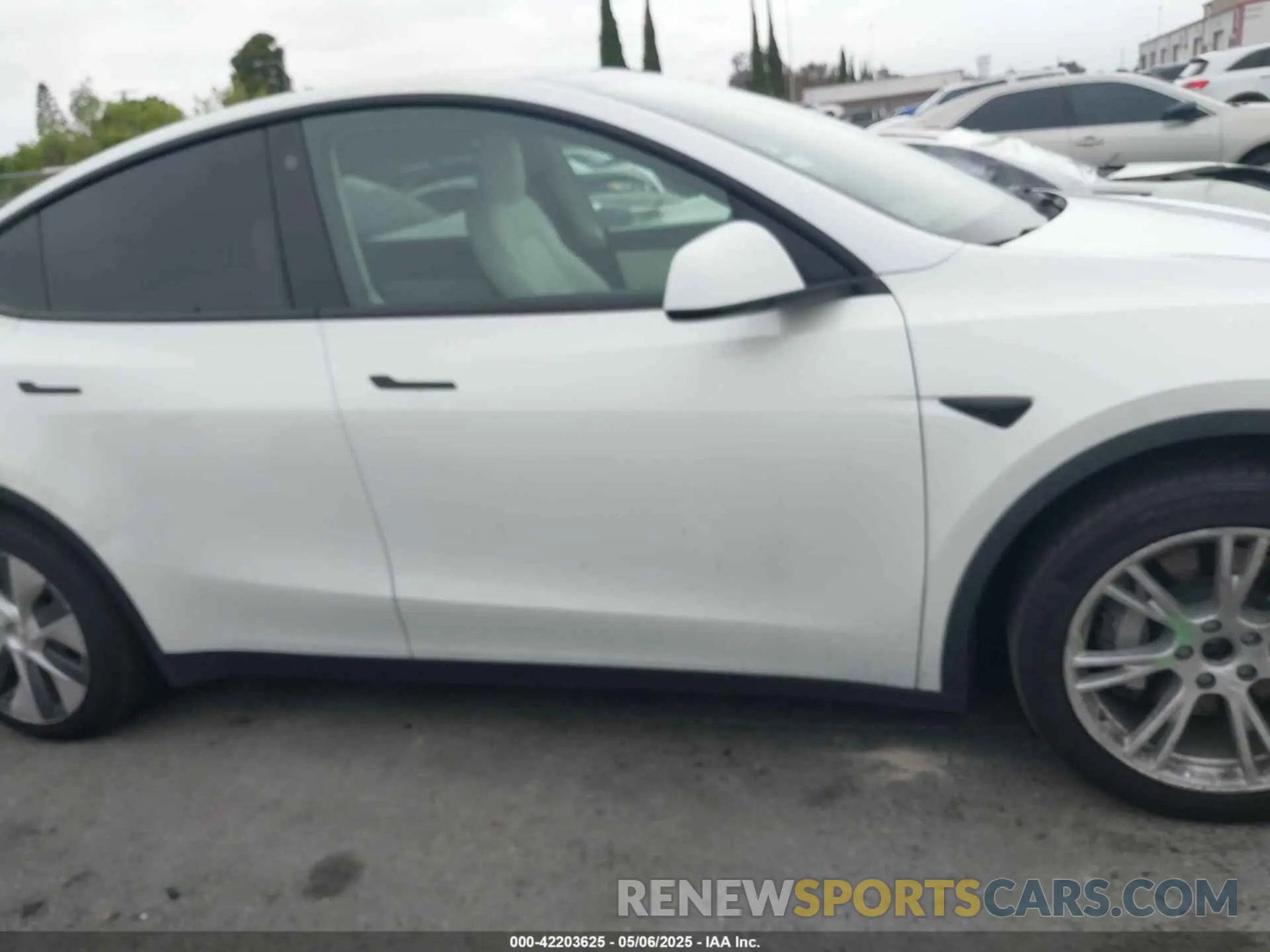 12 Фотография поврежденного автомобиля 5YJYGDEE1MF140334 TESLA MODEL Y 2021