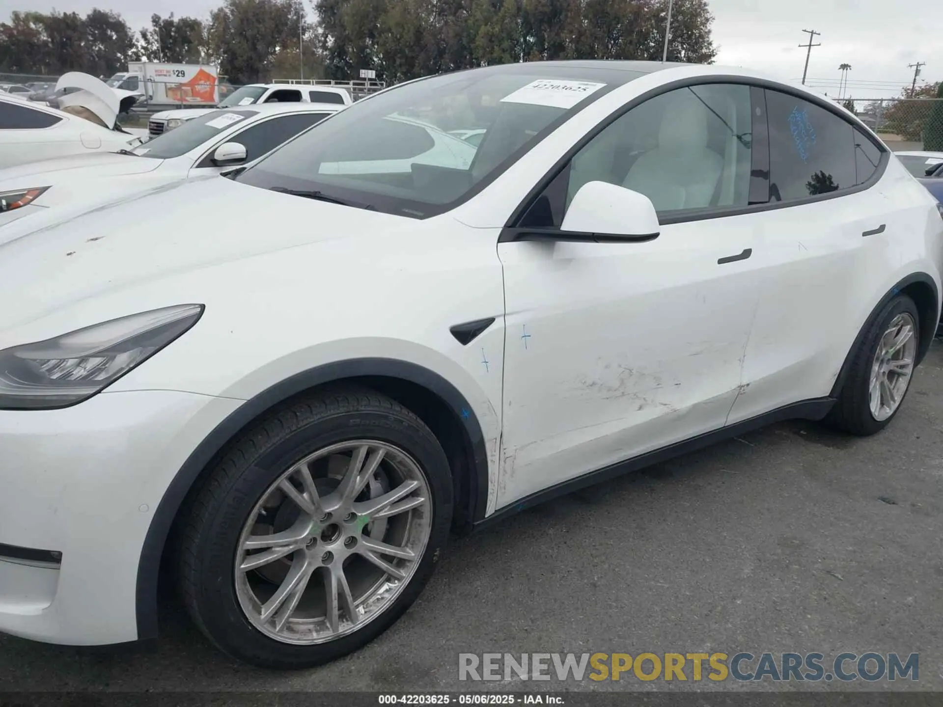 6 Фотография поврежденного автомобиля 5YJYGDEE1MF140334 TESLA MODEL Y 2021