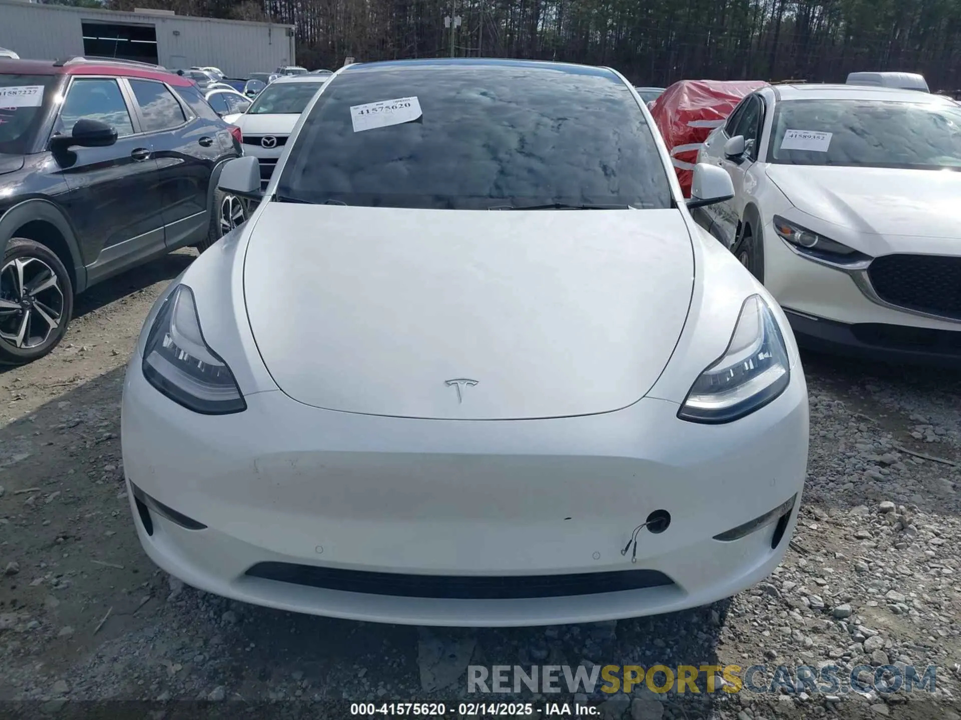12 Photograph of a damaged car 5YJYGDEE1MF256620 TESLA MODEL Y 2021